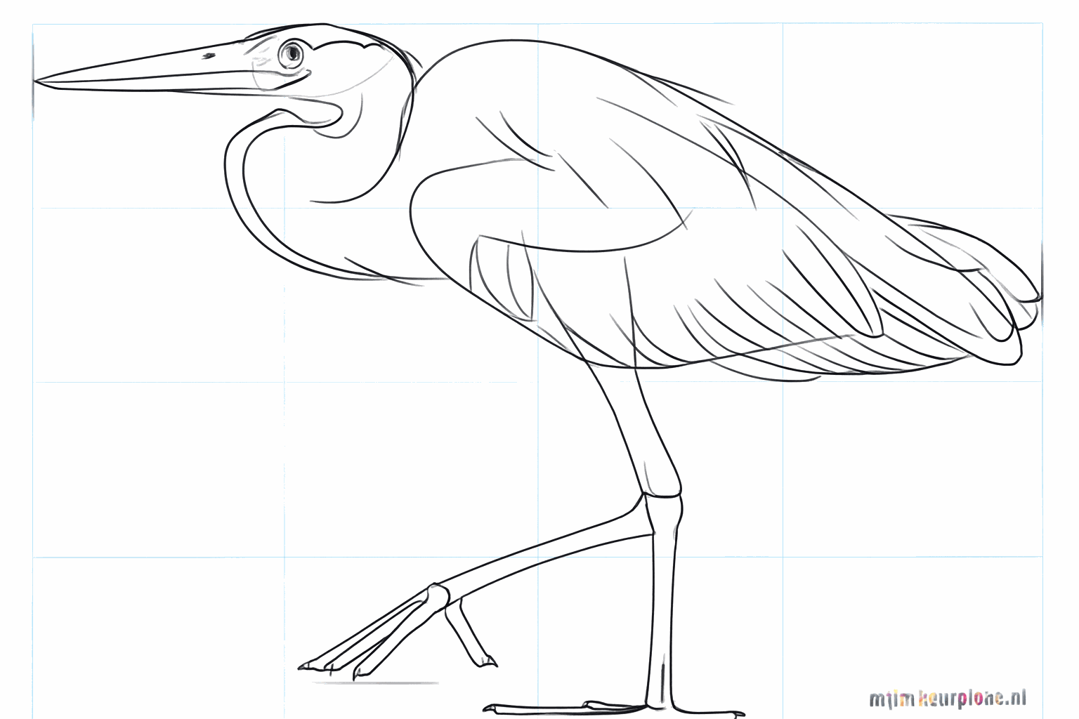 Details van de staartveren en de gewrichten in de poten.