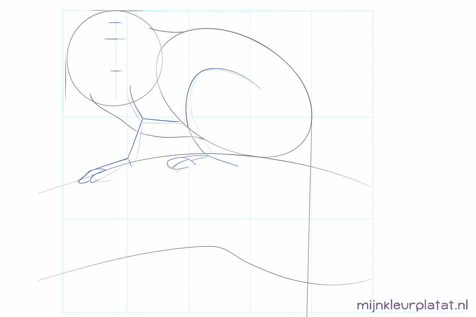 Hulplijnen voor het gezicht en de posities van de armen en benen.