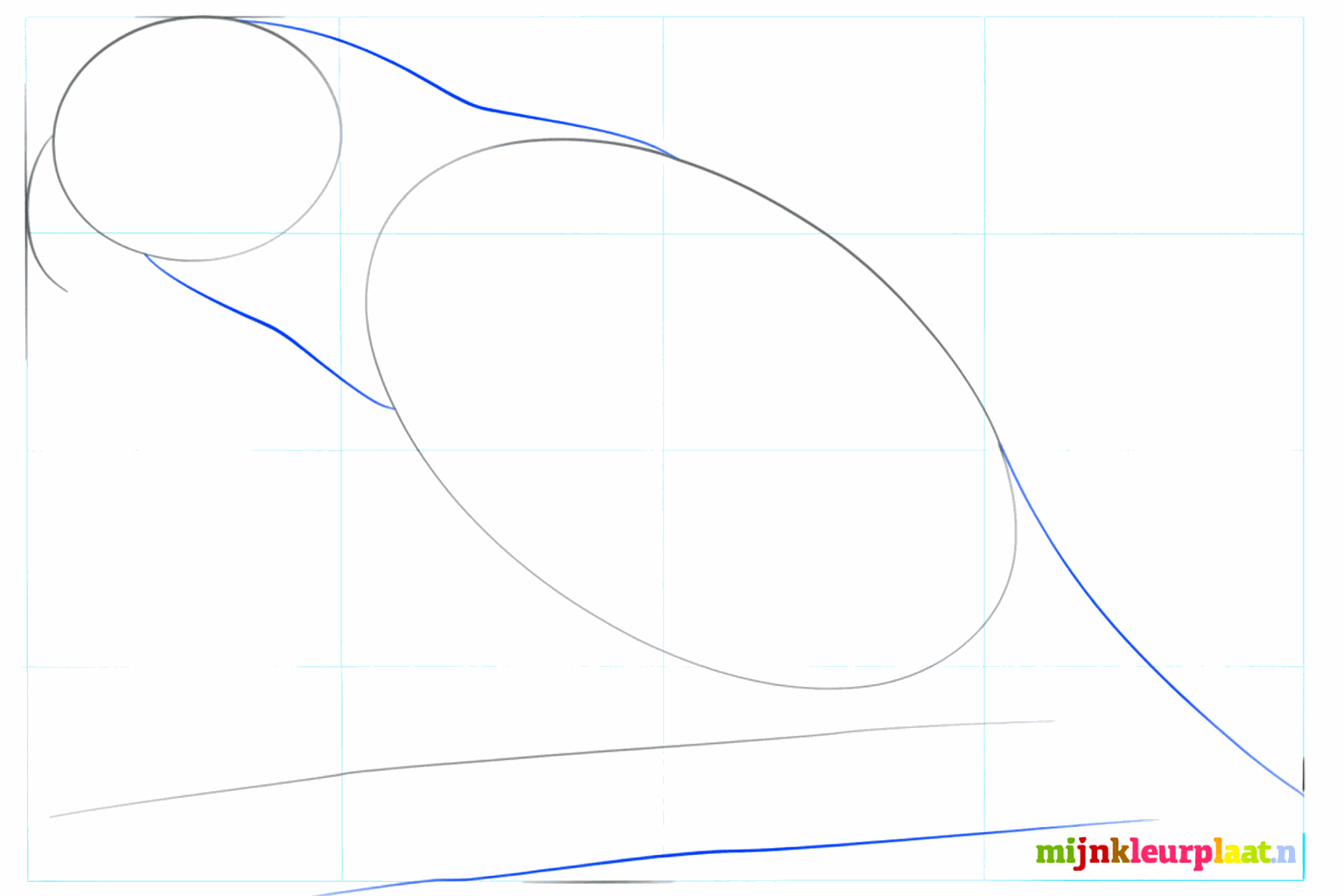 De neklijnen die de kop met het lijf van de papegaai verbinden.