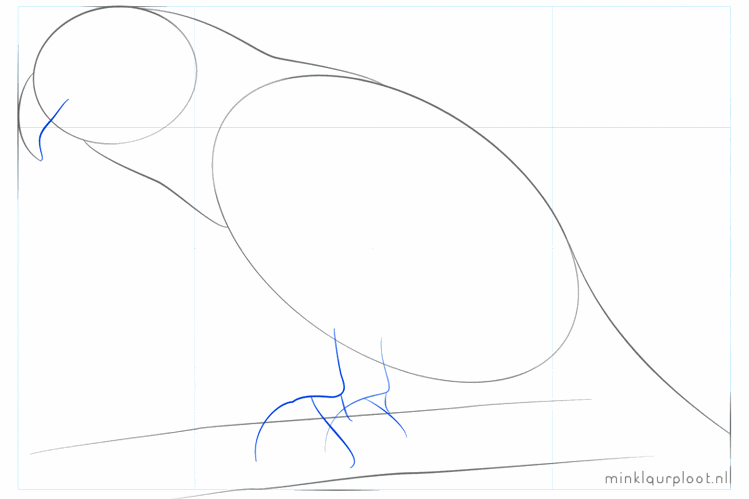 Een lange hulplijn voor de staart van de papegaai.