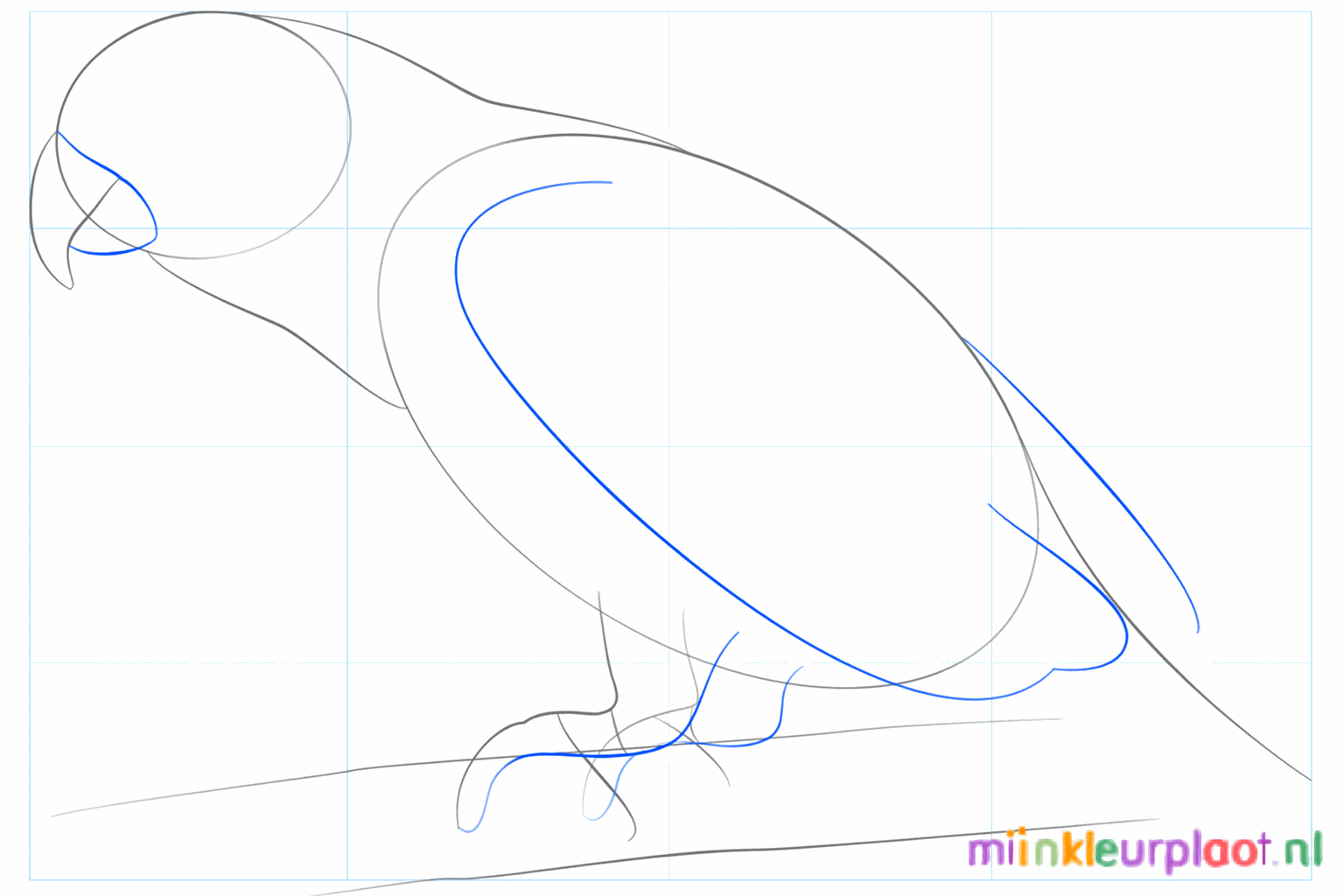 Een driehoekige vorm op de kop die de snavel gaat worden.