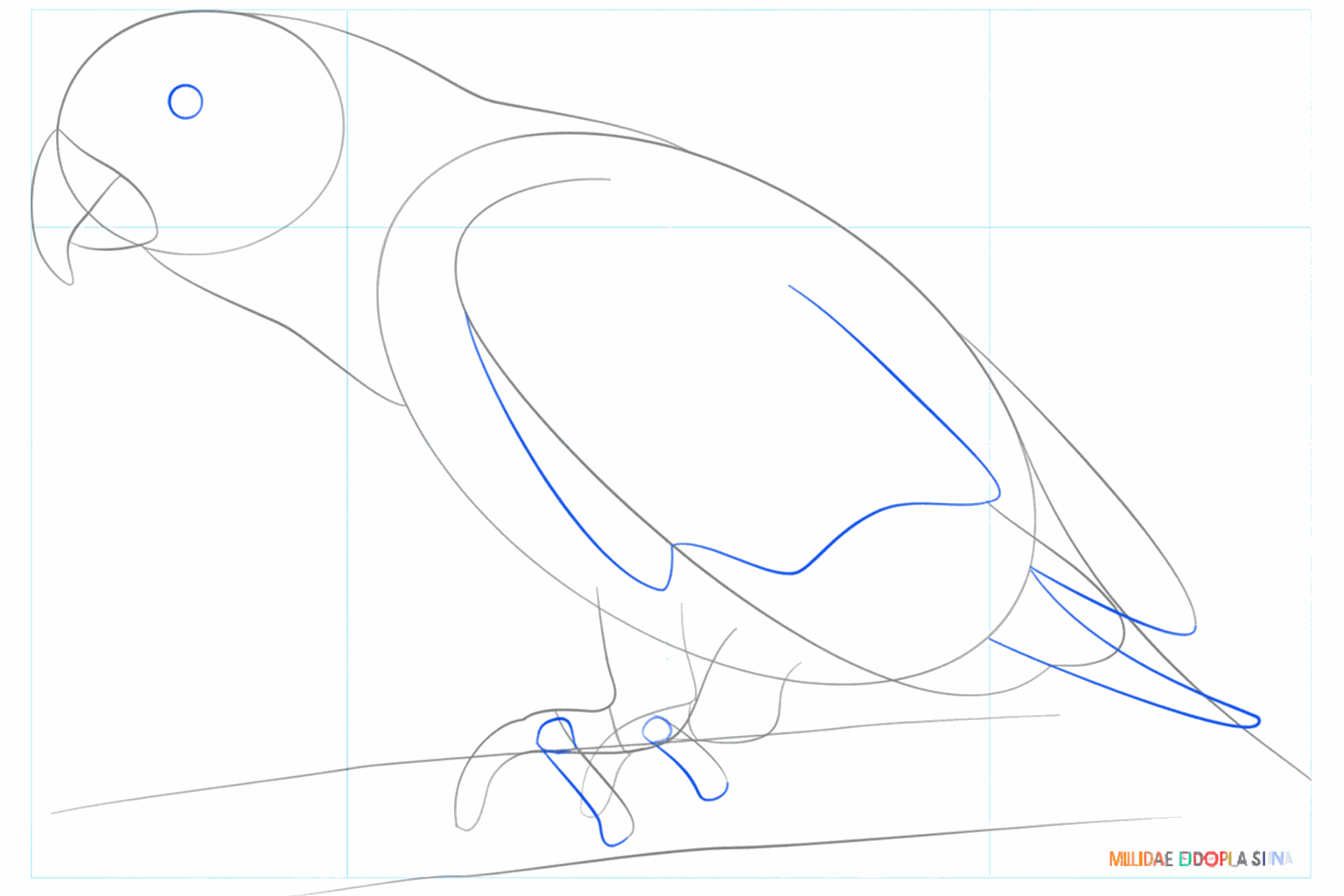 De vorm van de vleugel en de eerste lijntjes voor de vogelpoten.