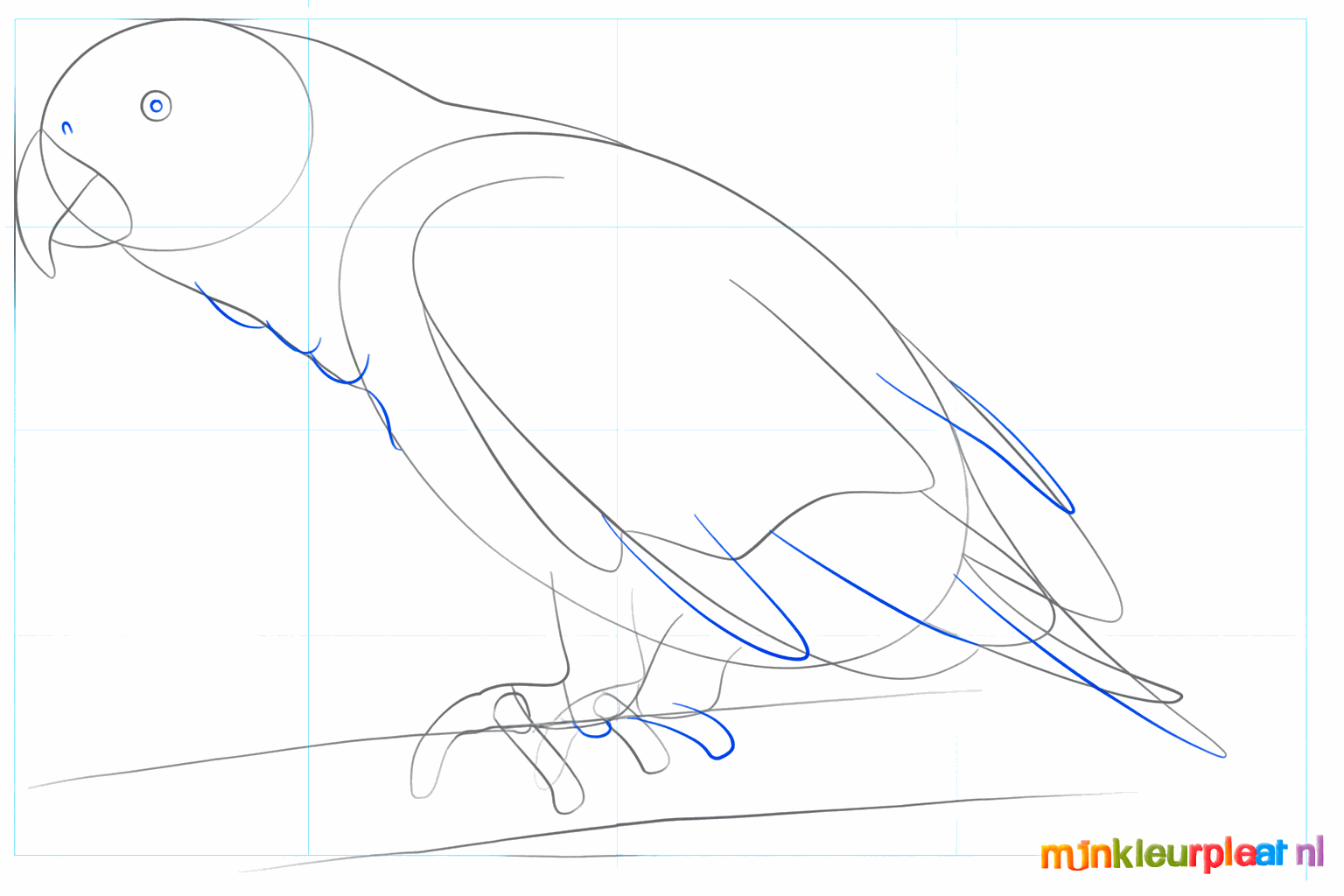 Het oog van de papegaai en de details van de poten op de tak.