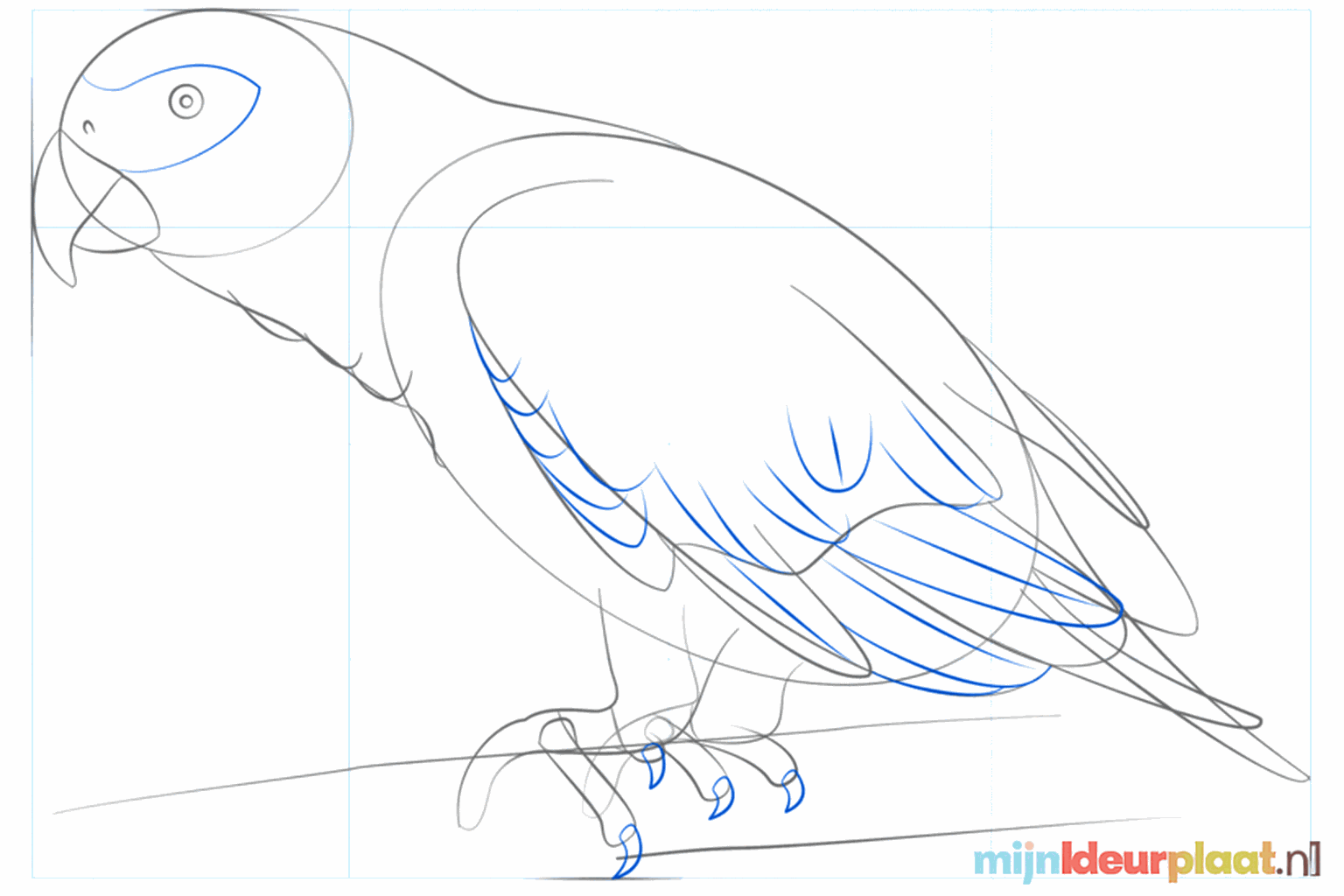 Een kromme papegaaiensnavel met een boven- en onderkant.