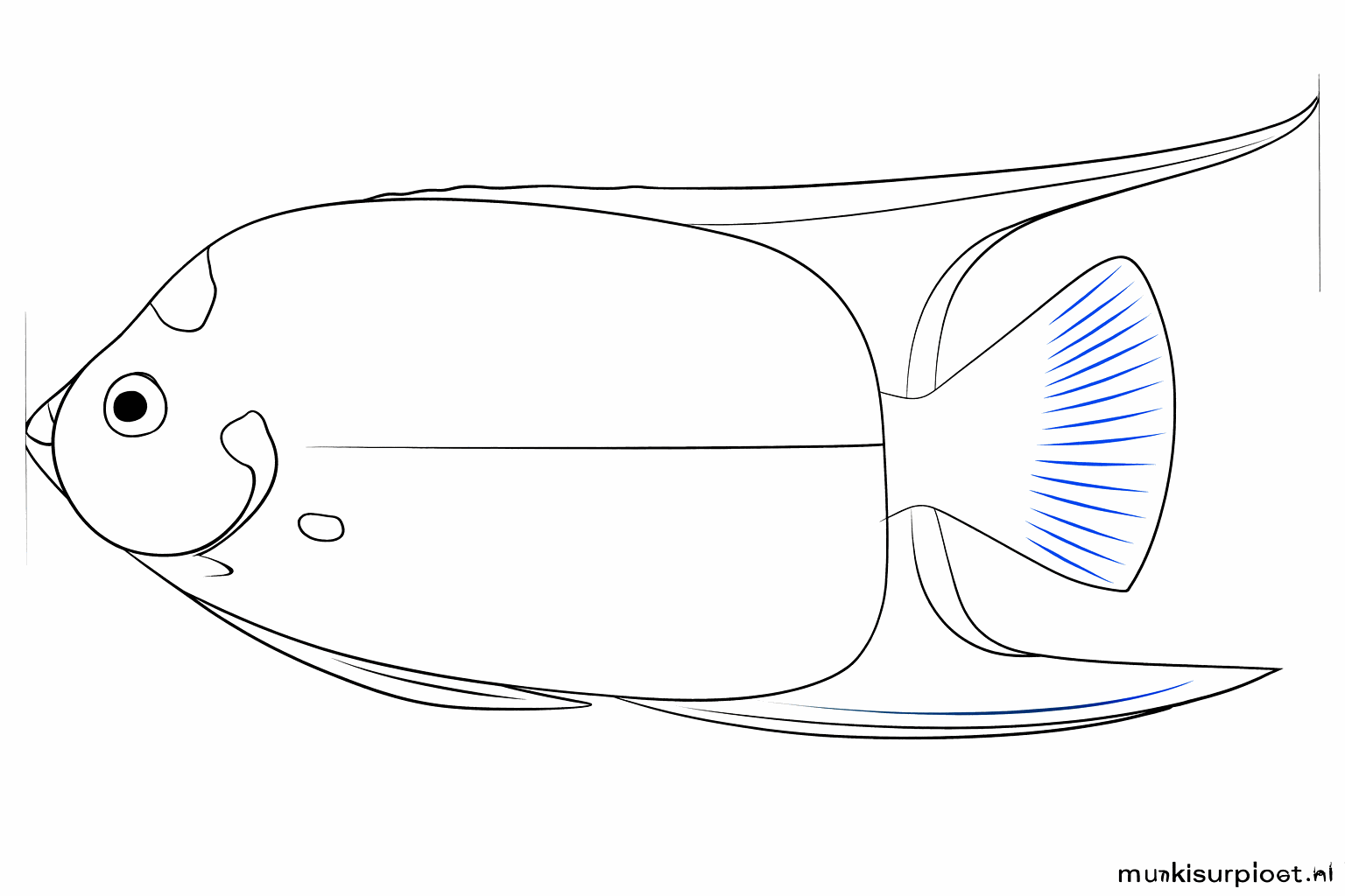 Stap 6: Maak de vinnen puntig en teken de pupil in het oog.