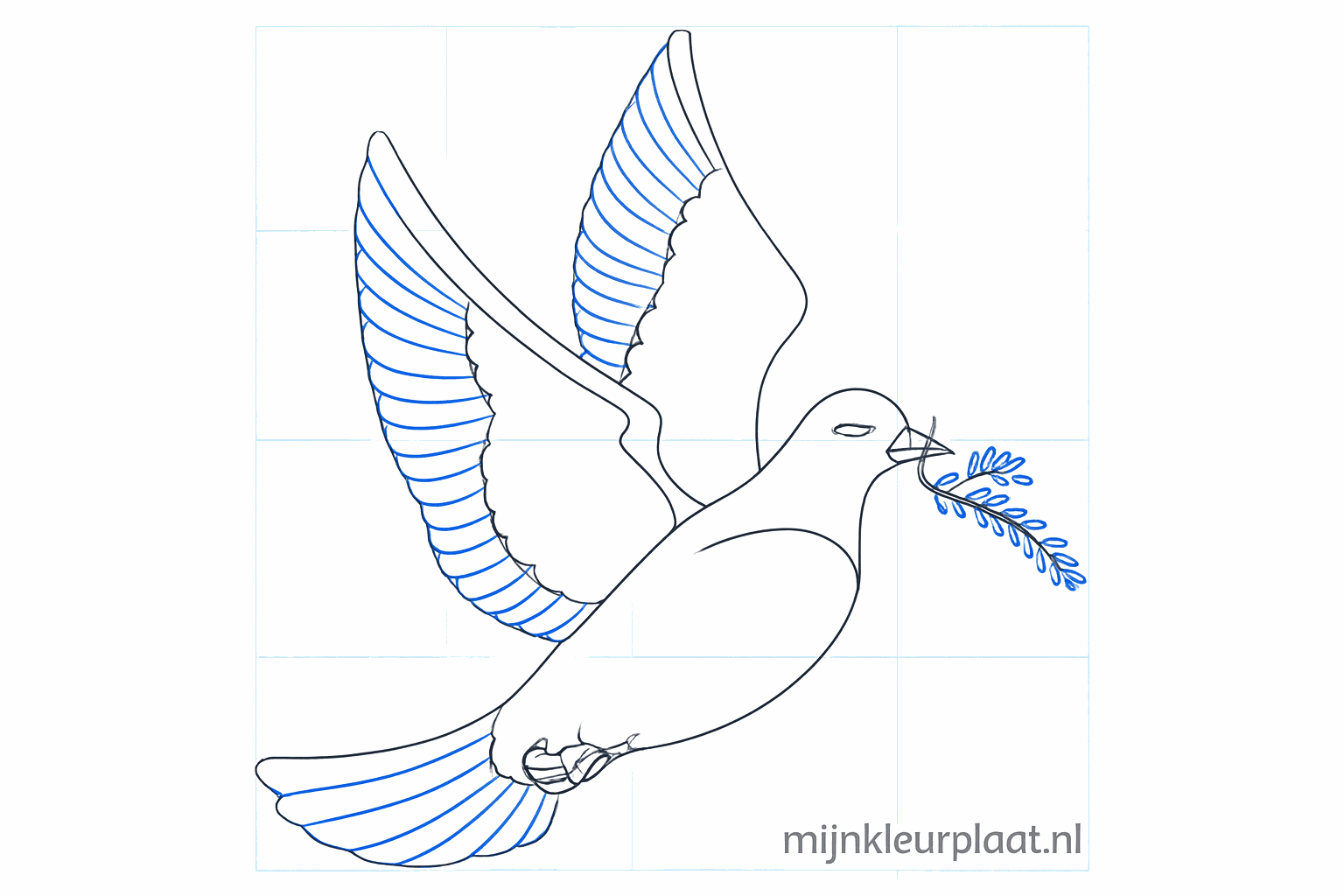 Details van de veren aan de vleugel en de staart.