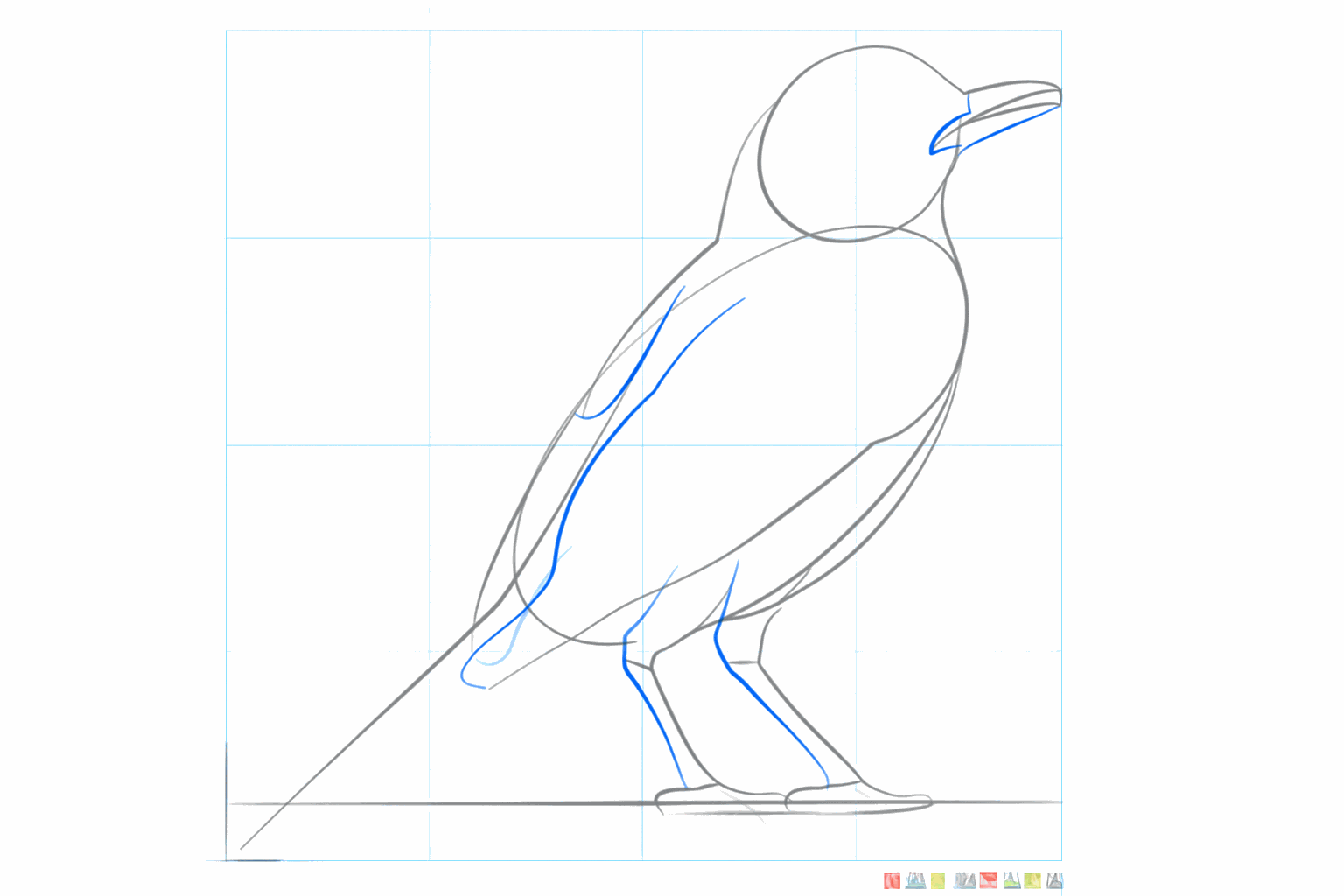De vogel krijgt een vleugel op zijn rug en een stevigere snavel.
