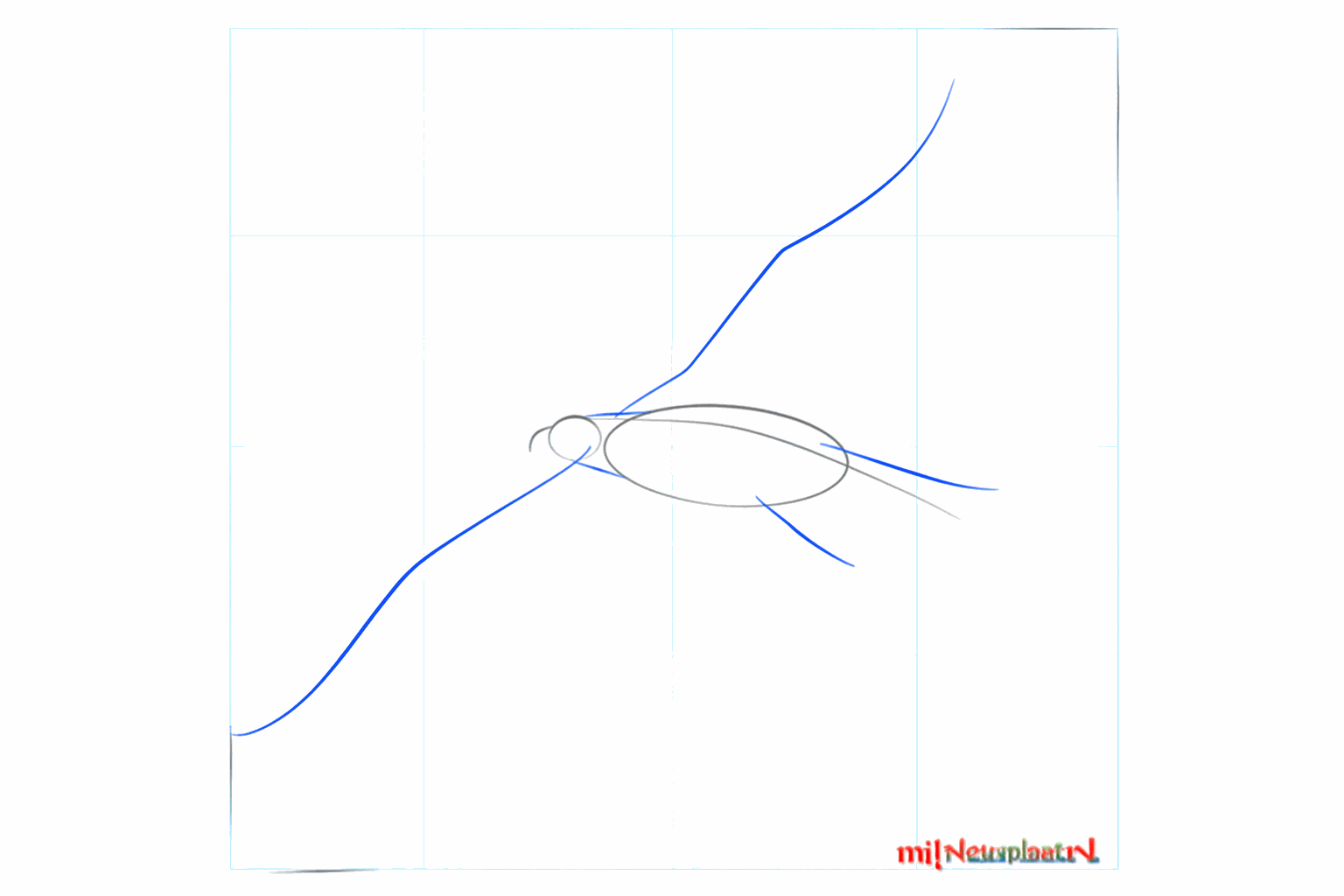 Hulplijnen voor de nek en de brede spanwijdte van de vleugels van de vogel.