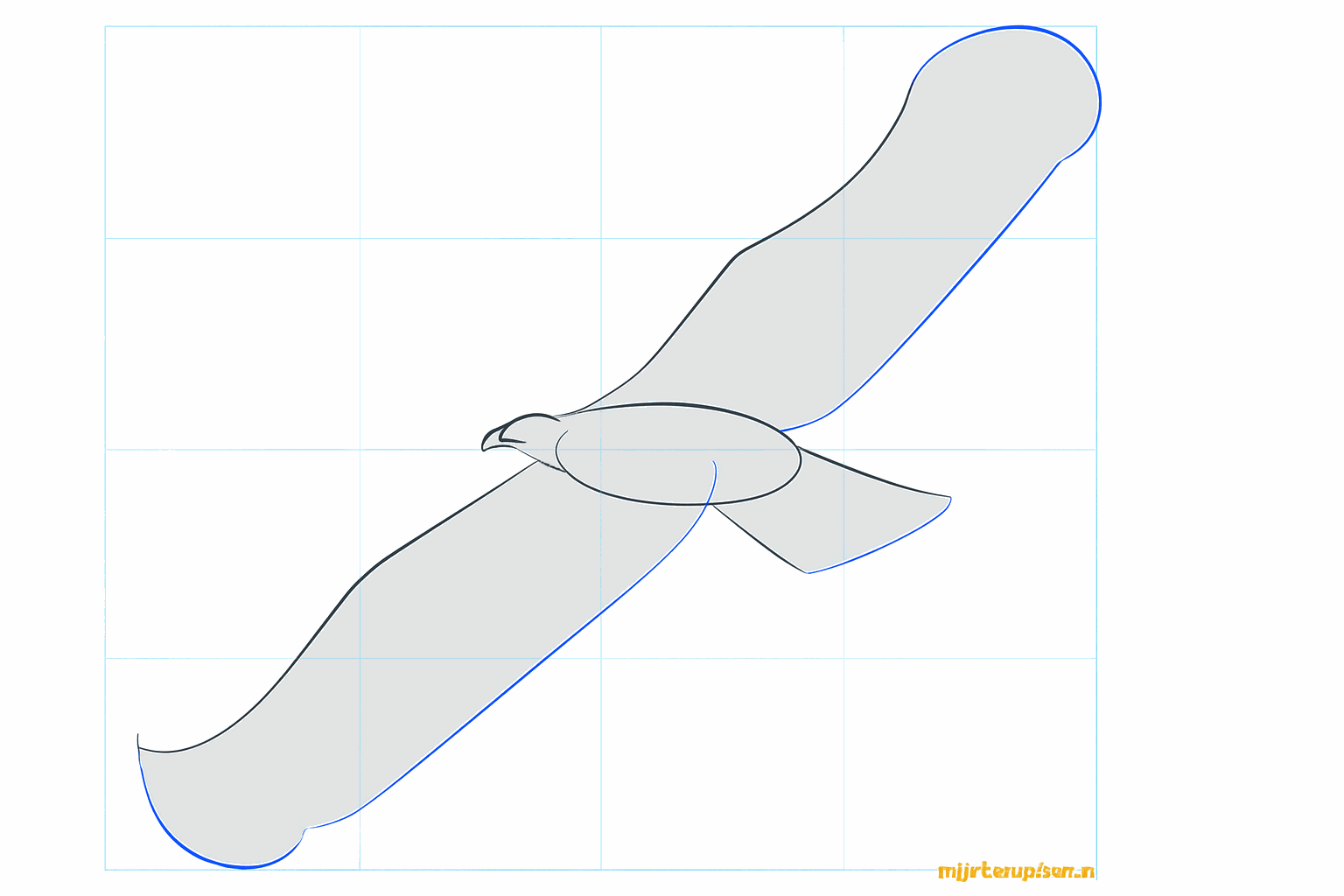 De contouren van de uitgestrekte vleugels en de staart van de arend.