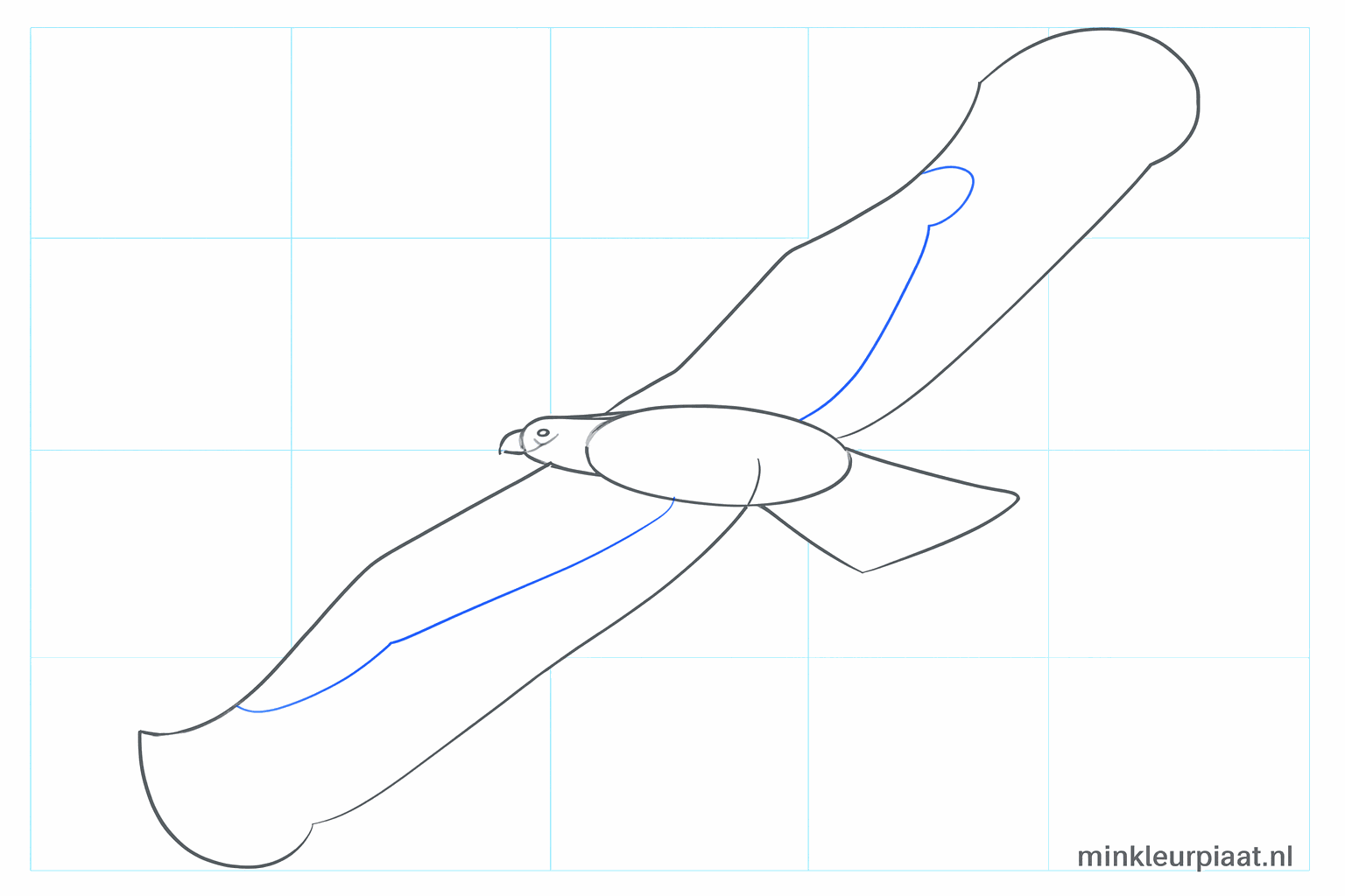 De snavel en de scherpe vormen van de vleugels worden getekend.