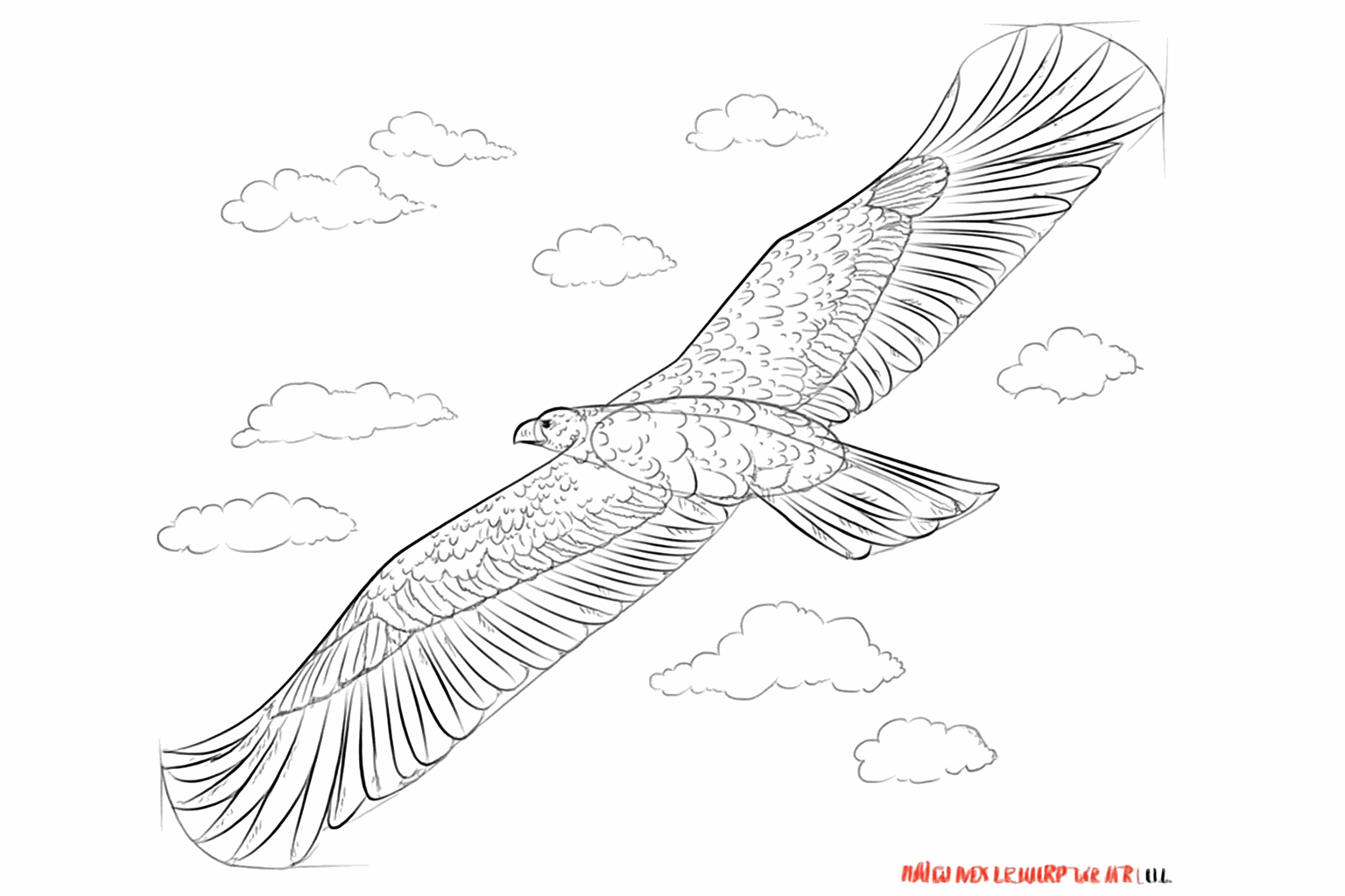 Meer details van veren over het hele lichaam en de vleugels van de vogel.