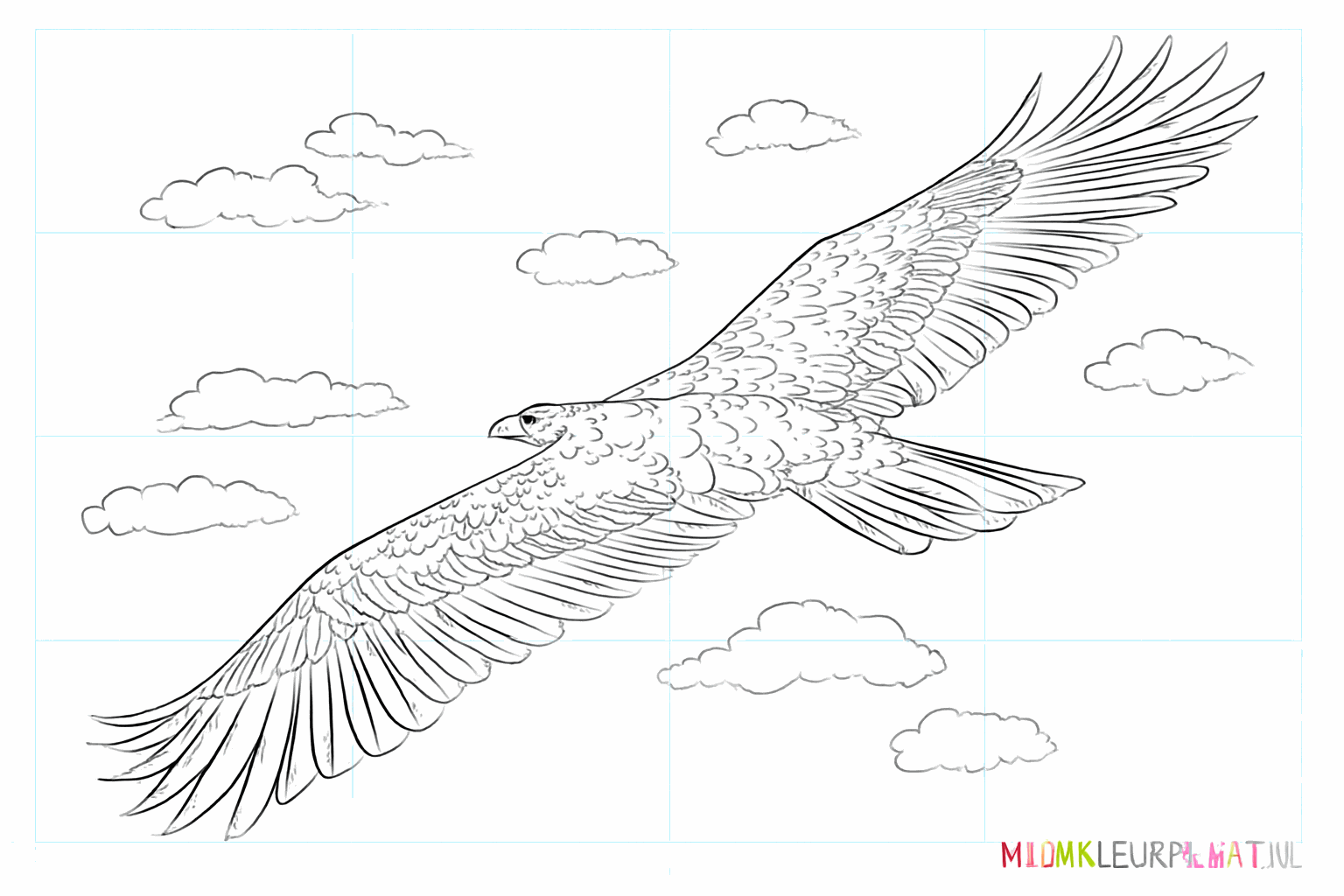 Een stoere steenarend tekenen in 8 stappen