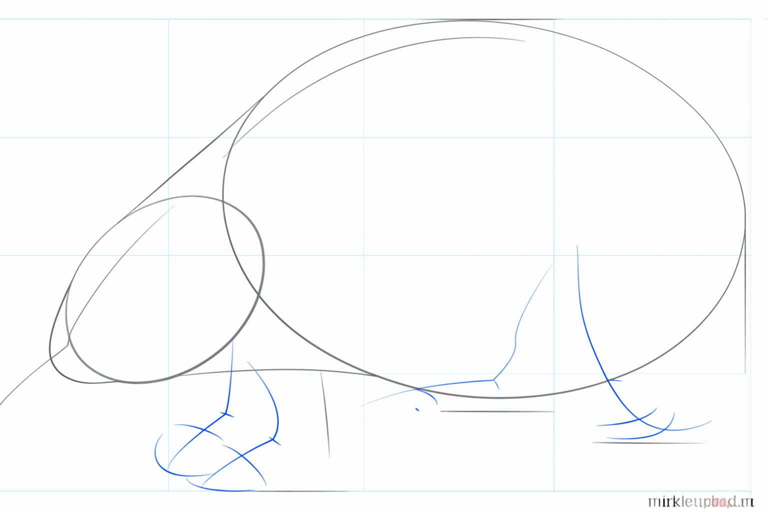 Lijnen tekenen voor de poten en de lange snuit van de mierenegel.
