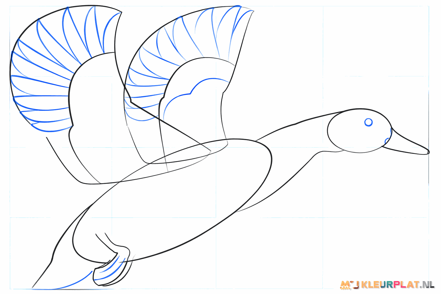 Details van de eendenpoten met zwemvliezen en een oogje in de kop.