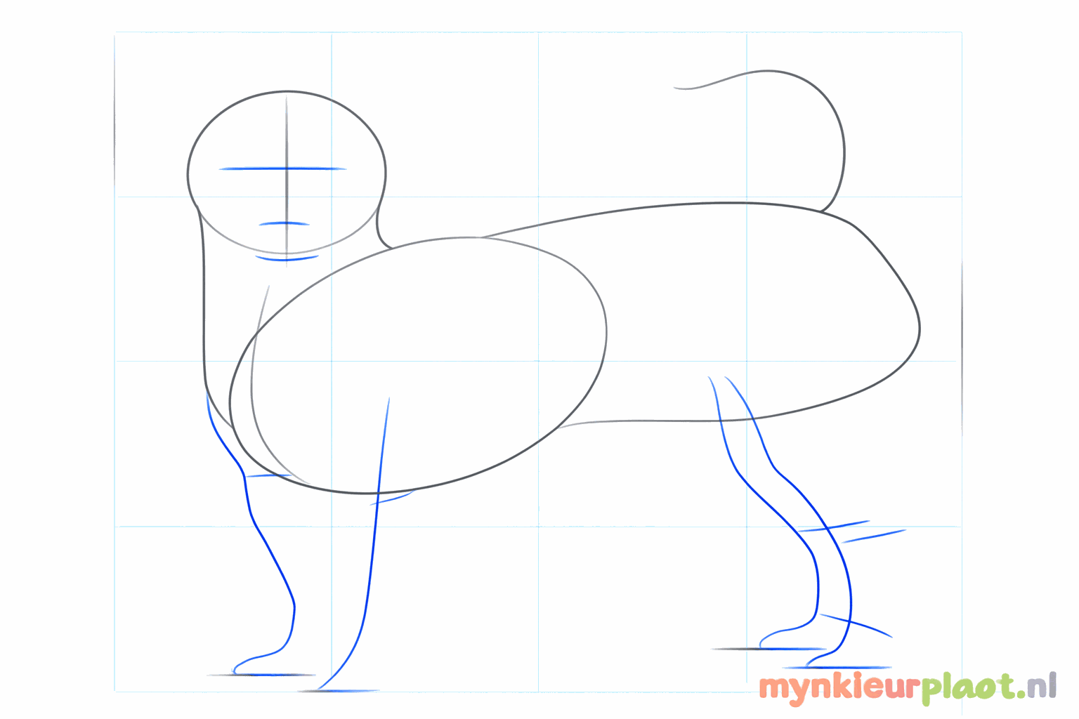 Hulplijnen voor het gezicht en de poten van de chihuahua.