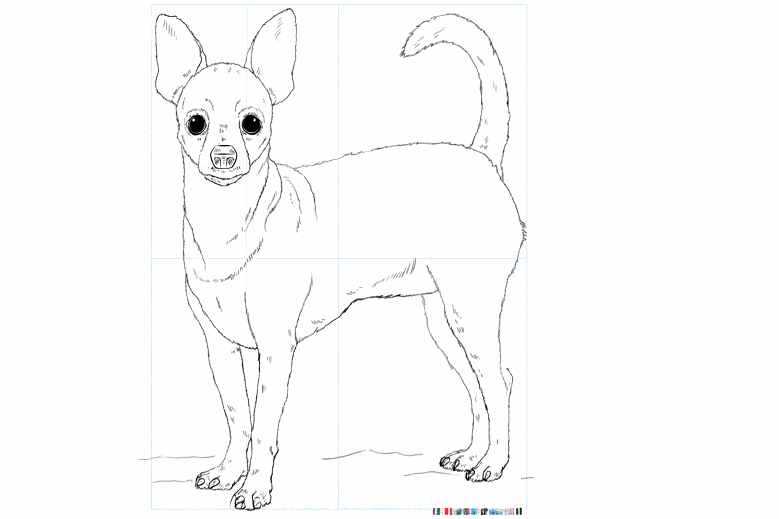 Chihuahua tekenen: Stap-voor-stap een schattig hondje maken