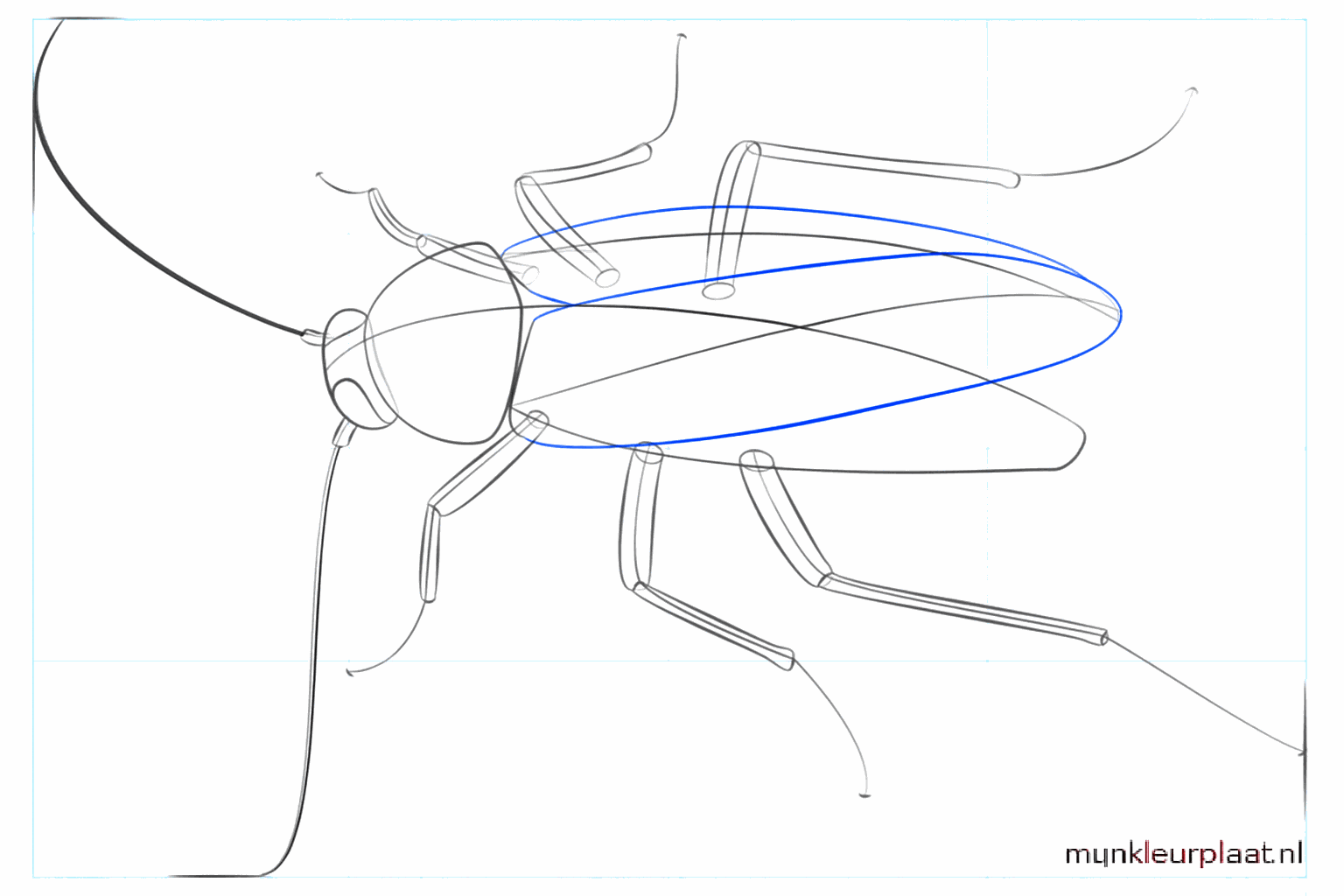 Lijnen voor de vleugels en kleine cirkeltjes voor de ogen.