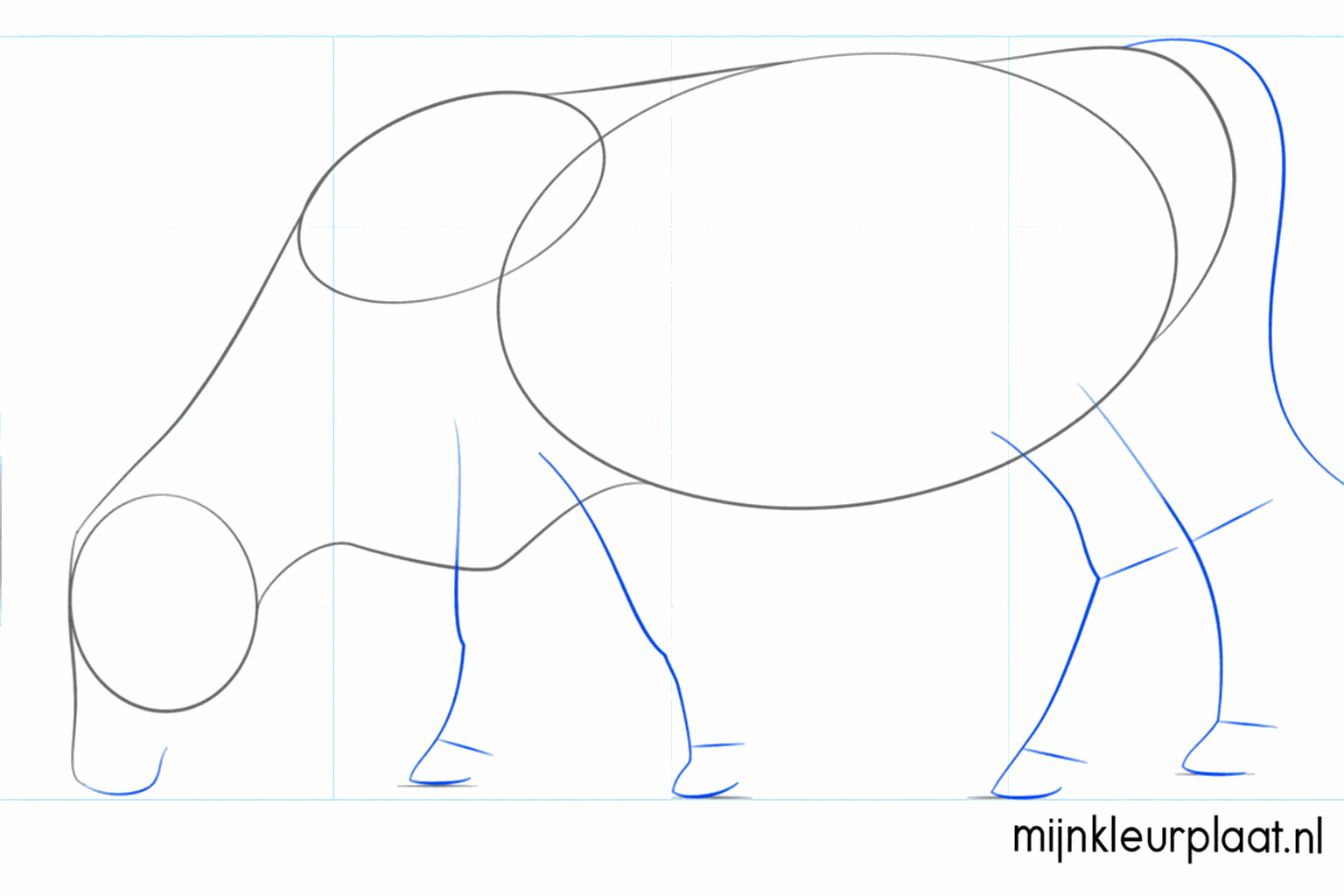 Hulplijnen voor de vier poten, de staart en de hoorns op de kop.