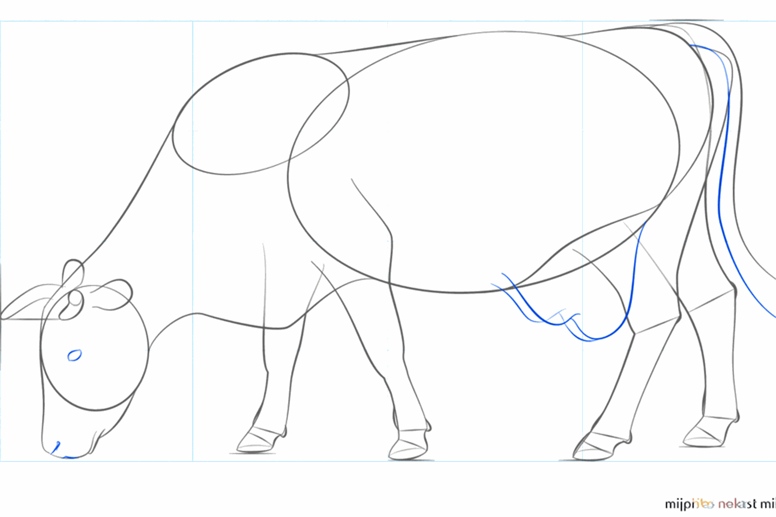 De uier en de staart met een harig uiteinde zijn nu zichtbaar.