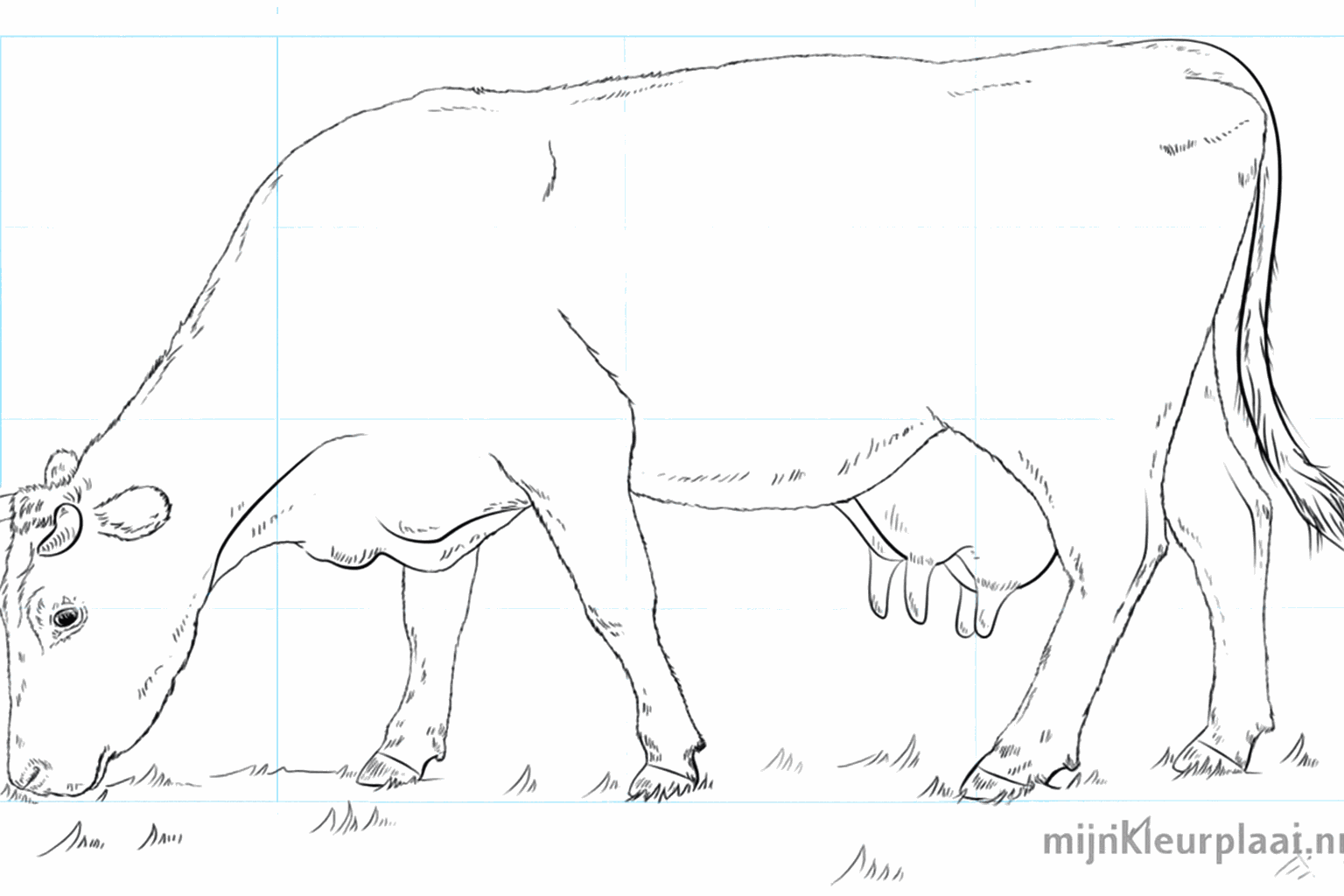 Een vrolijke koe tekenen in 9 simpele stappen