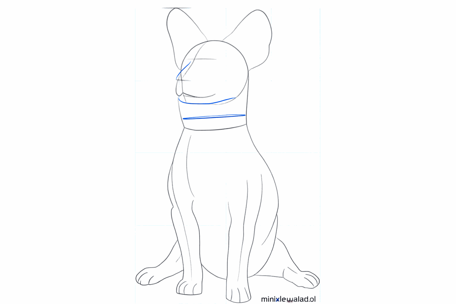 Vier korte pootjes onder het lichaam en een horizontale lijn voor de halsband.