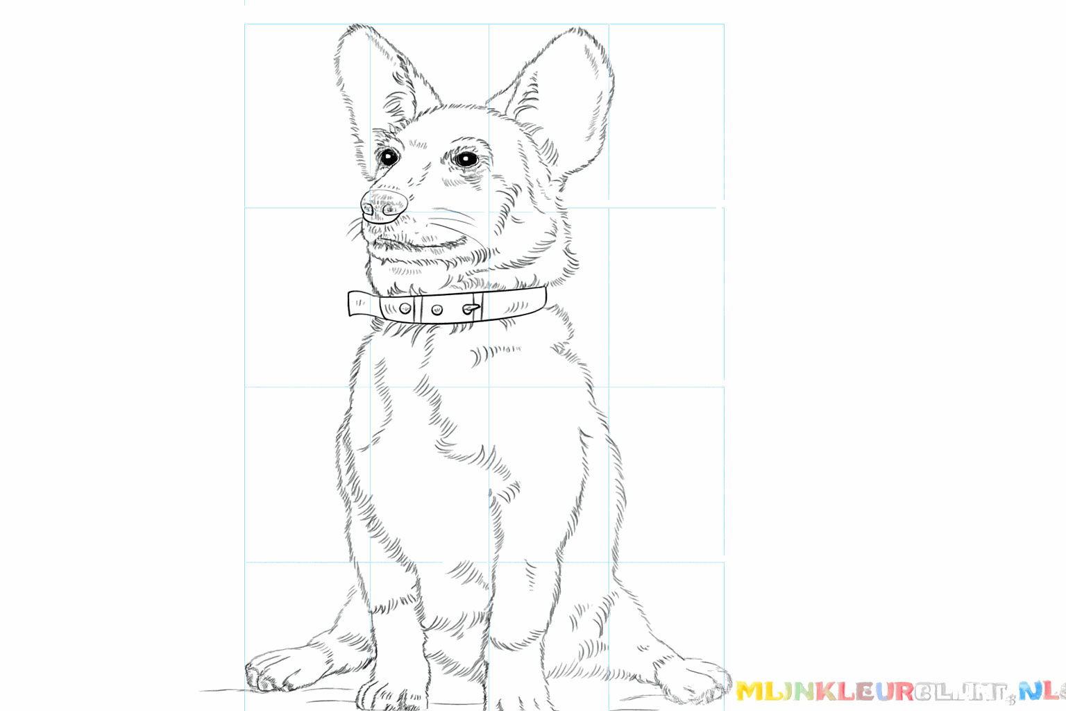 Een afgemaakte tekening van een Corgi zonder hulplijnen.