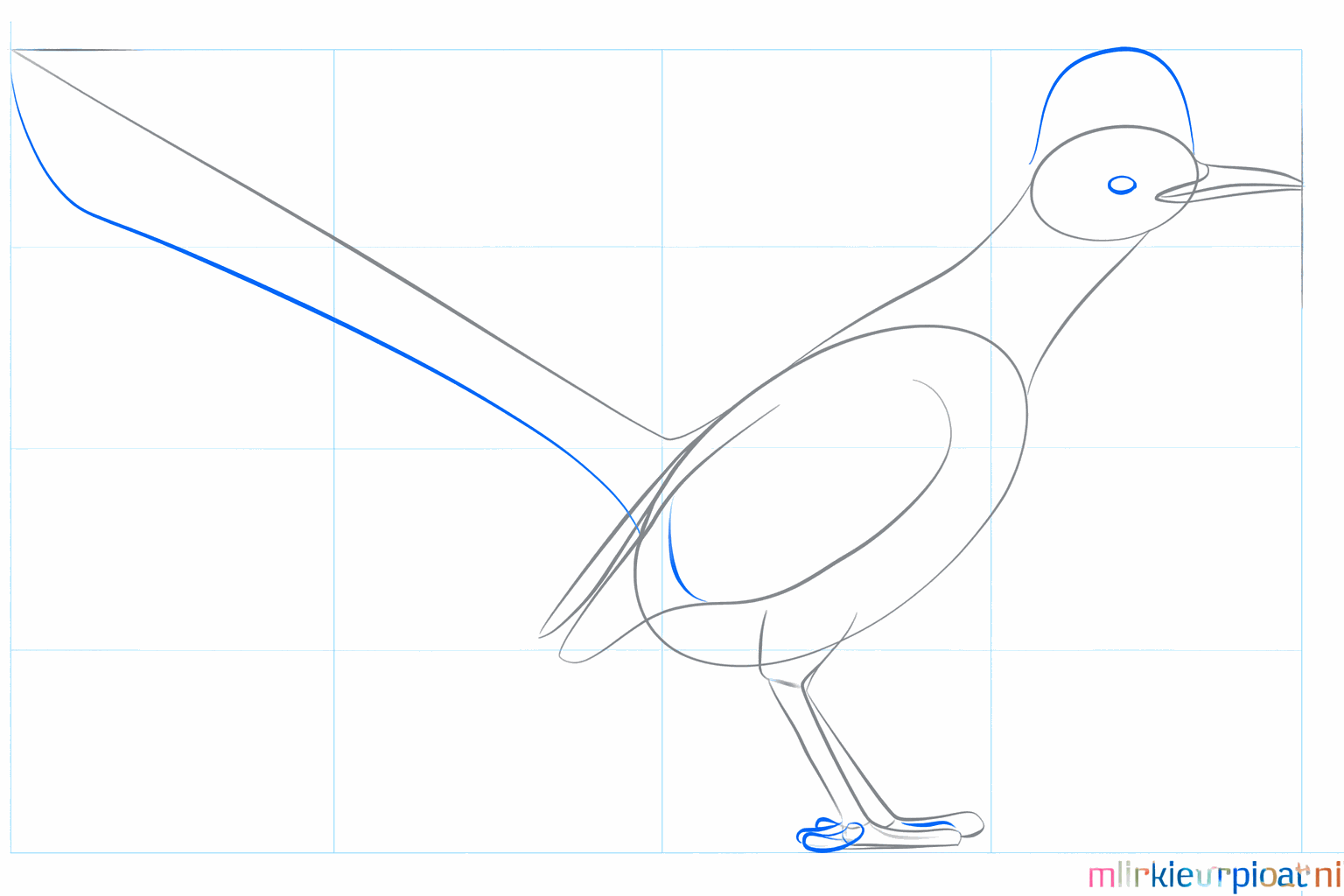 Dikkere vormen voor de snavel, vleugel en de poten.