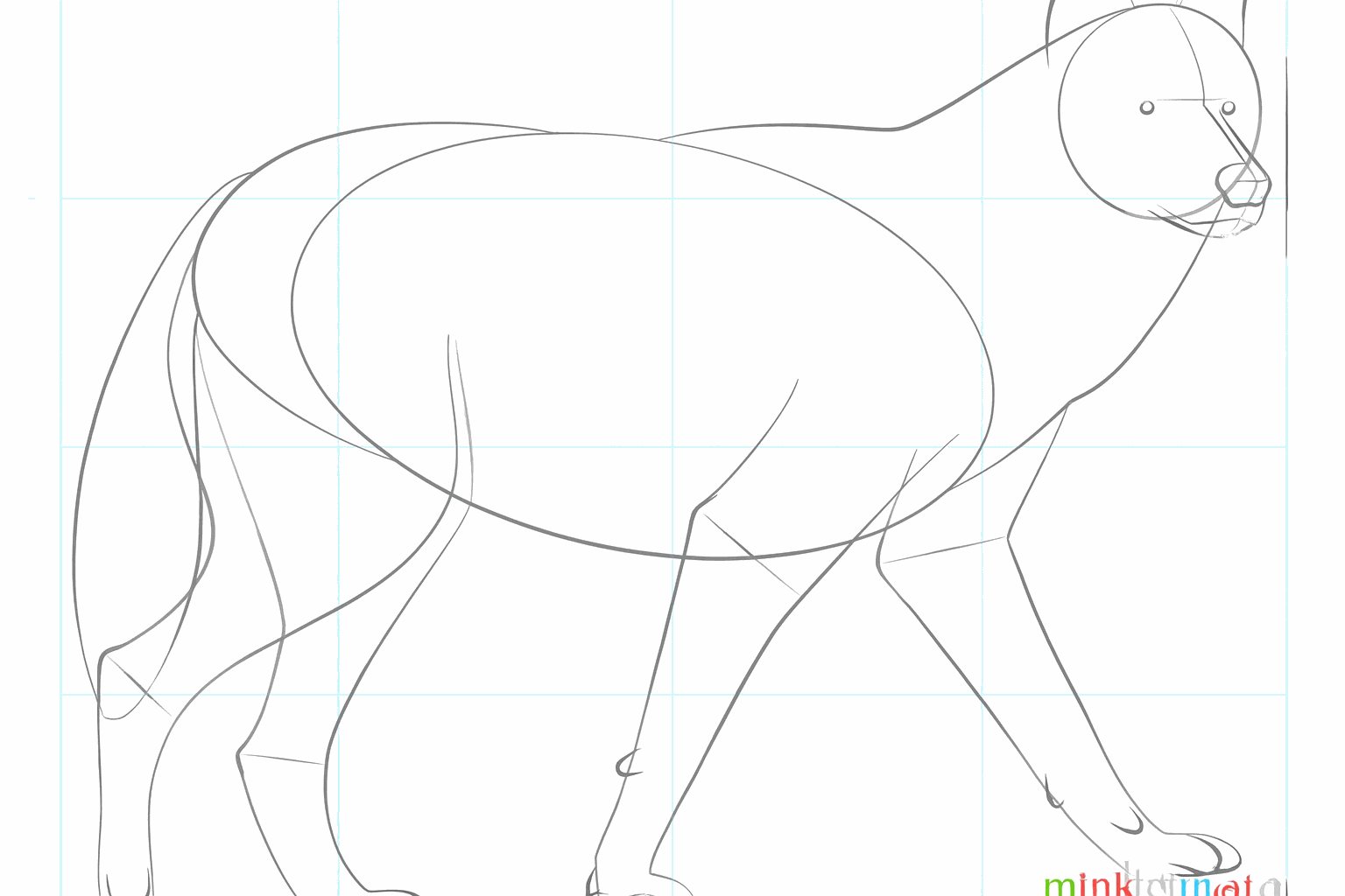 Teken twee puntige oren en een dikke, harige staart aan de wolf.