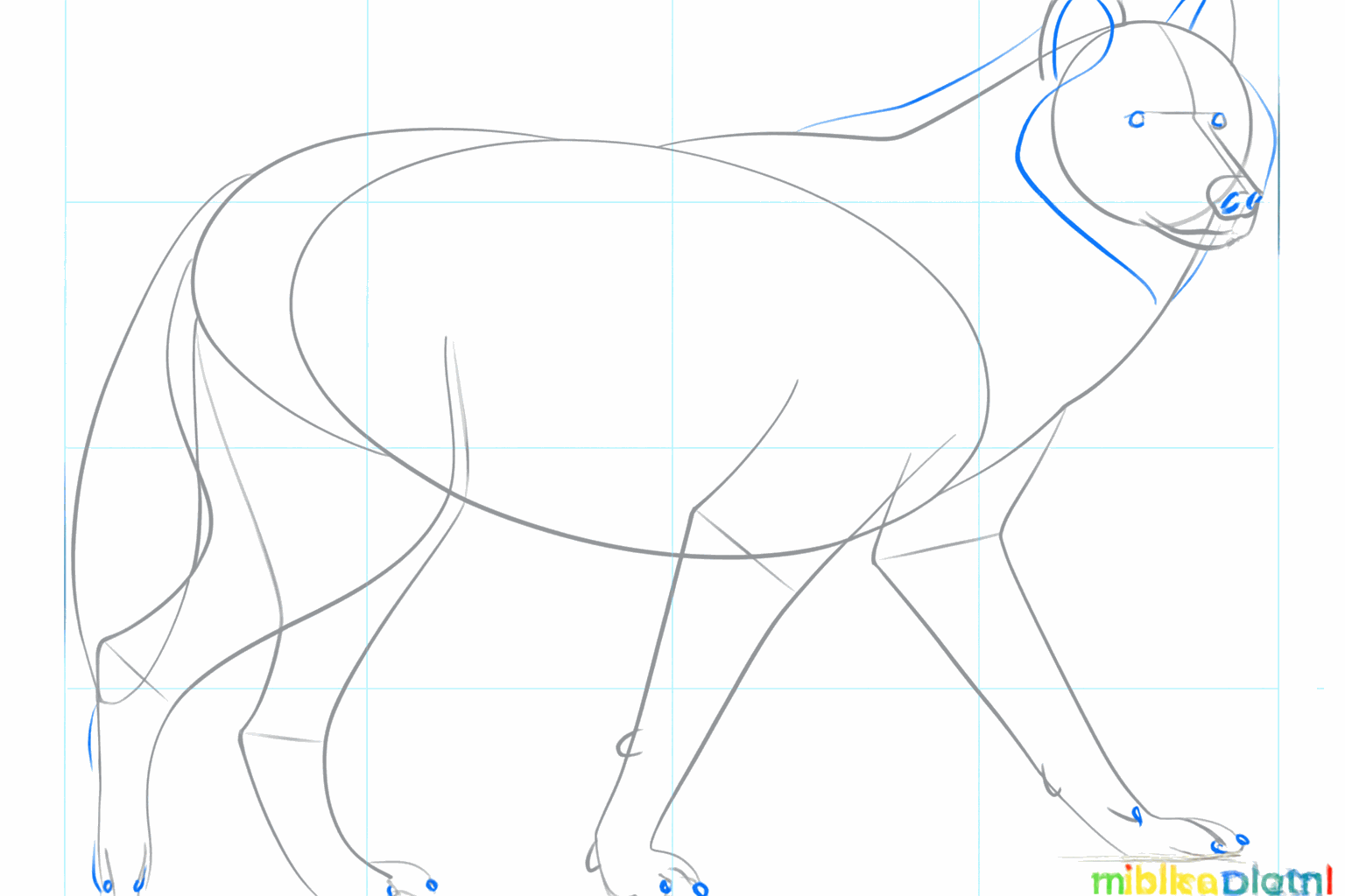 Voeg details toe zoals ogen, een neus en kleine cirkels voor de tenen.