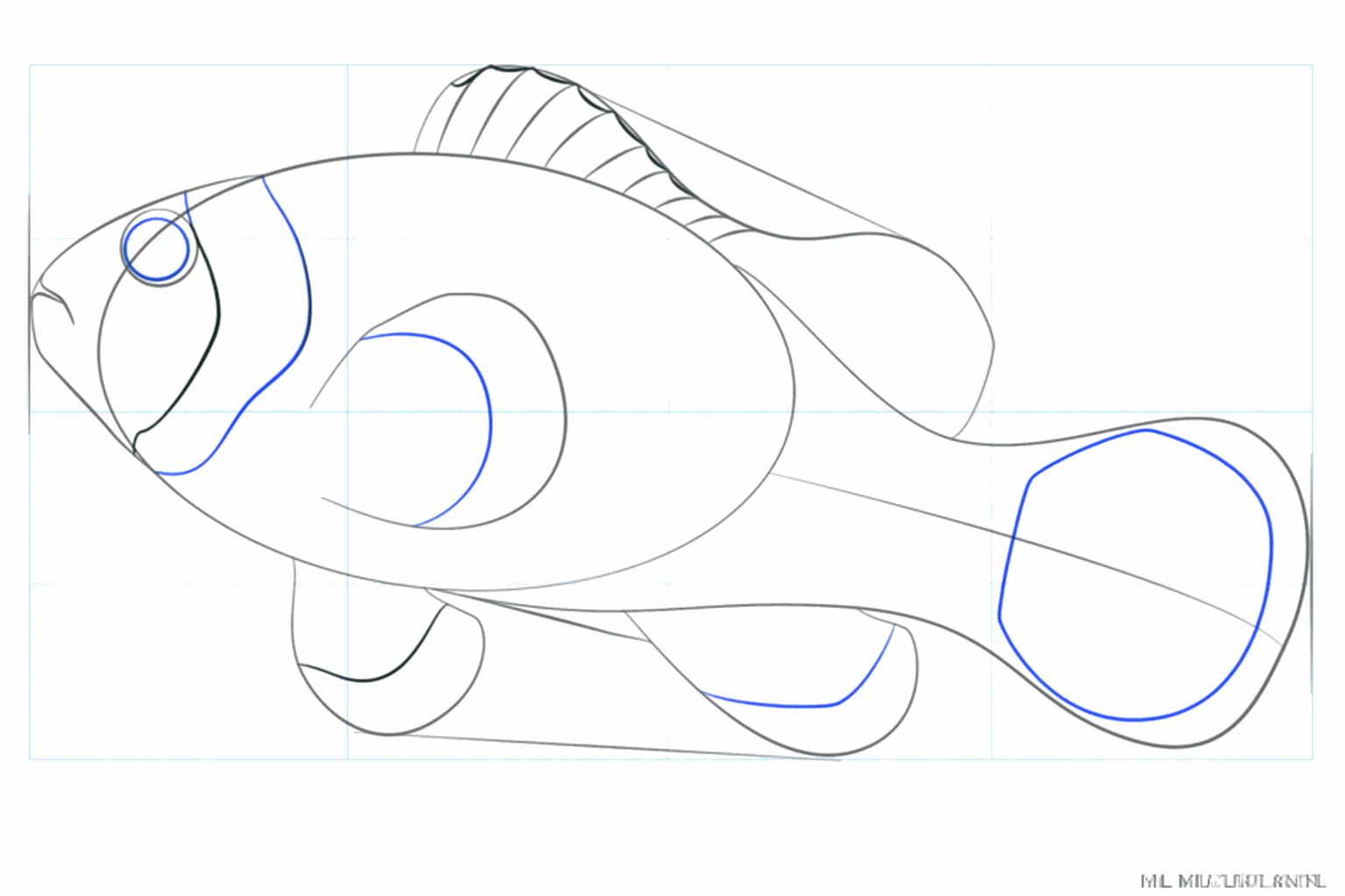 Een rond oog en een lachend mondje op de kop van de clownvis.