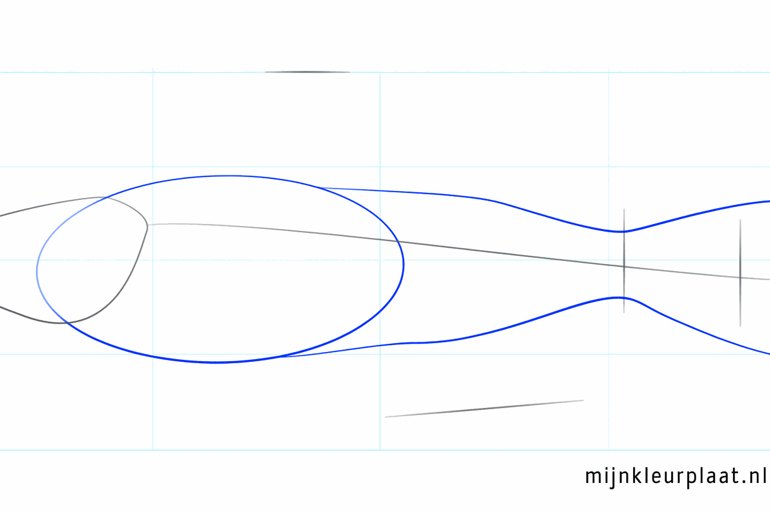 Een groot ovaal voor het lichaam van de vis en een staartvorm.
