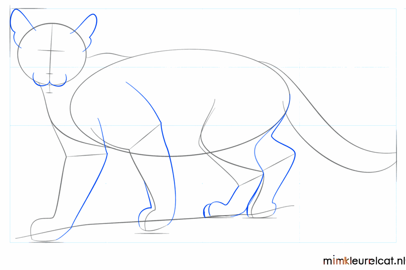 Vormen van de poten en kleine ronde oortjes bovenop de kop.