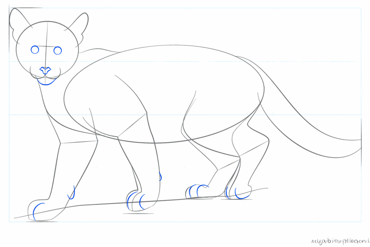 Details van de snuit en ronde vormen voor de voeten van de poema.