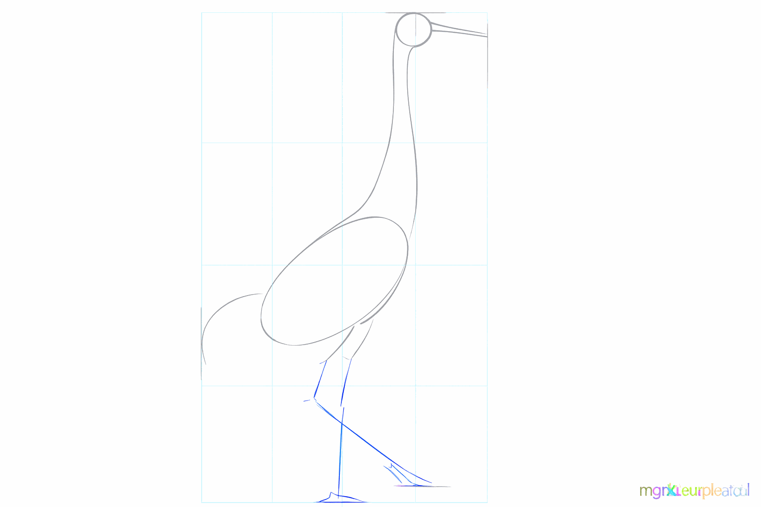 Een lijn voor de snavel en een korte lijn aan de achterkant voor de staart.