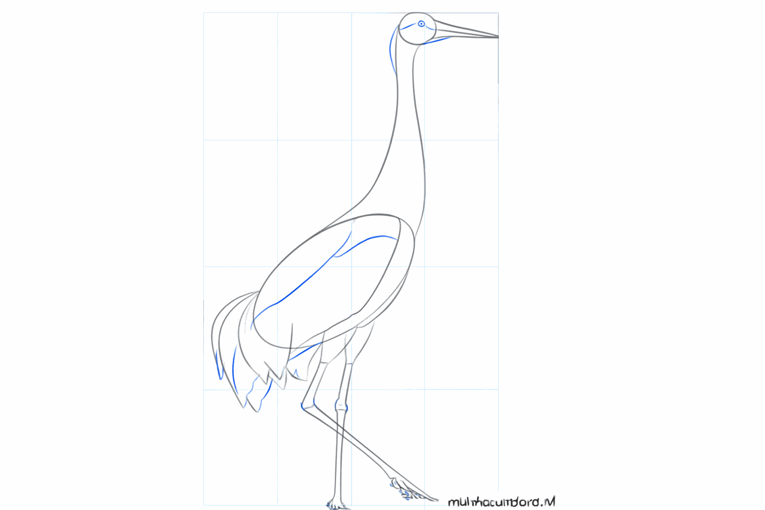 Details zoals een oog, tenen aan de poten en de vorm van een vleugel.