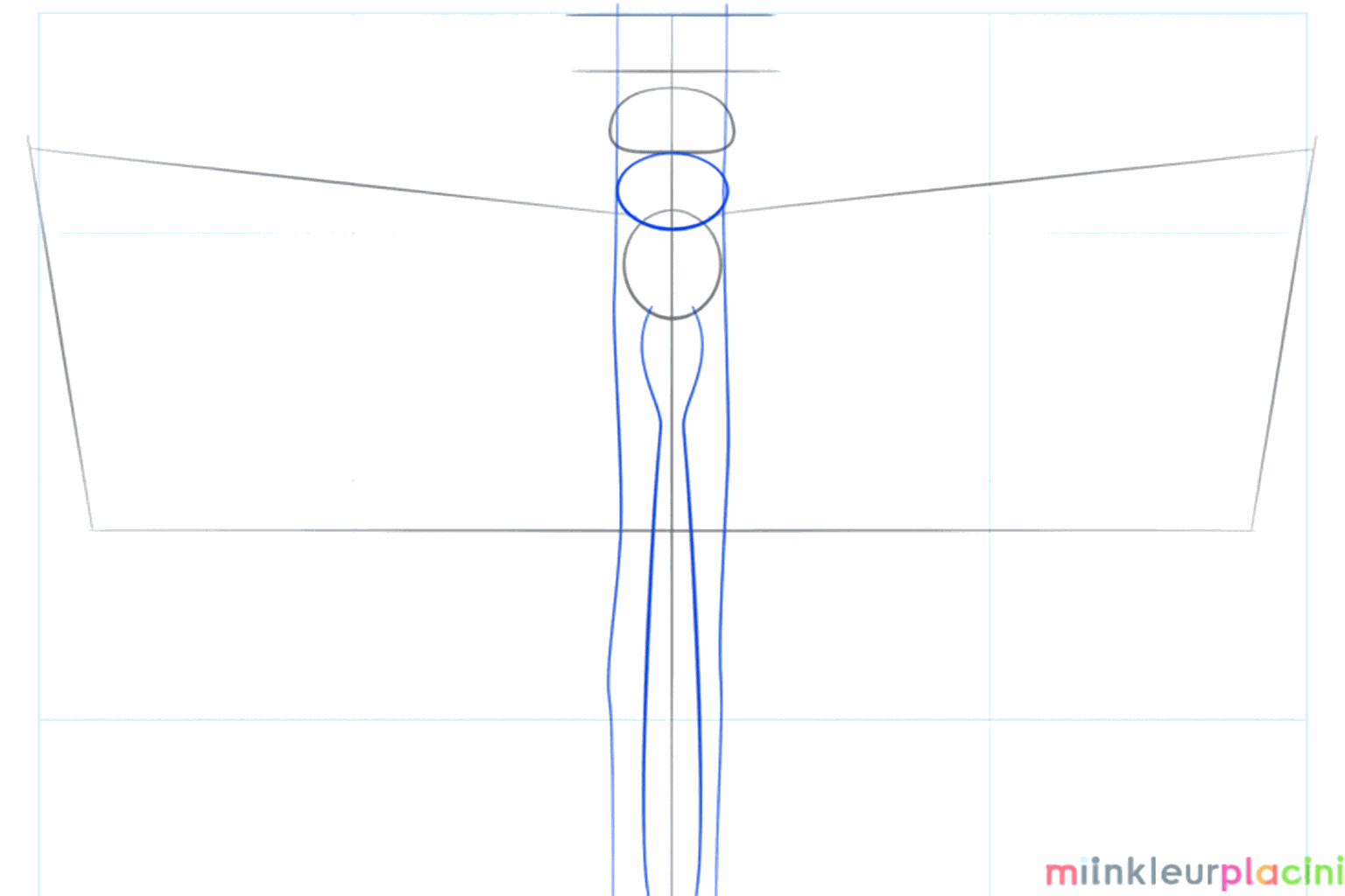 Een lange staart en een schuine lijn voor de tak waar de libelle op rust.