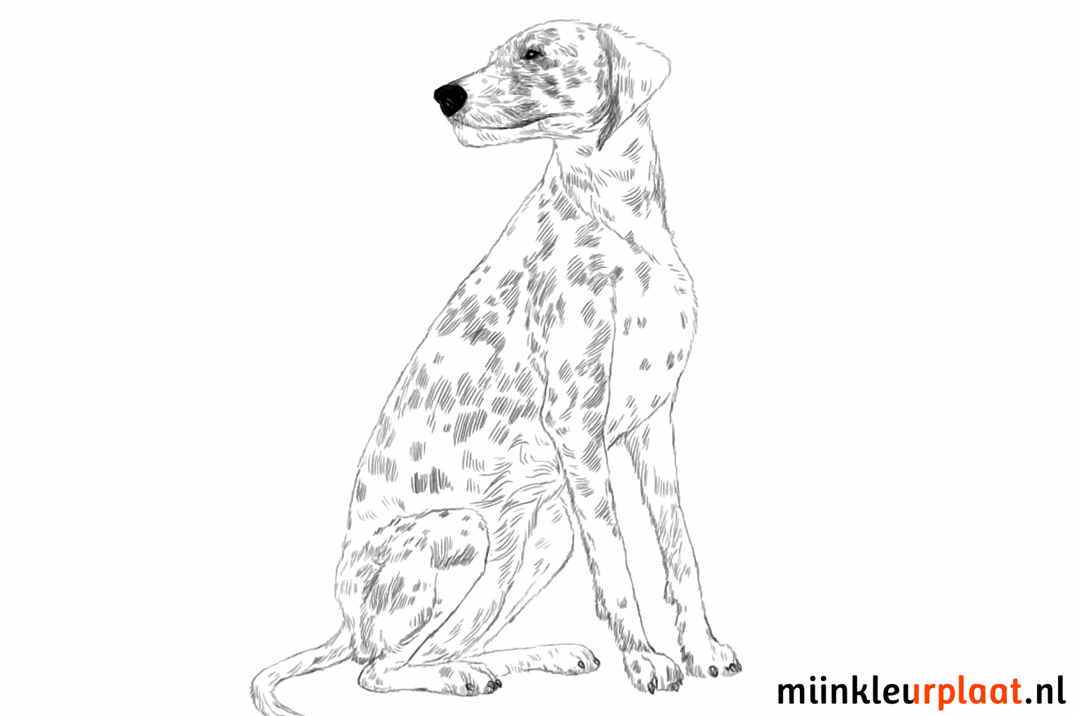 Een vrolijke dalmatiër tekenen