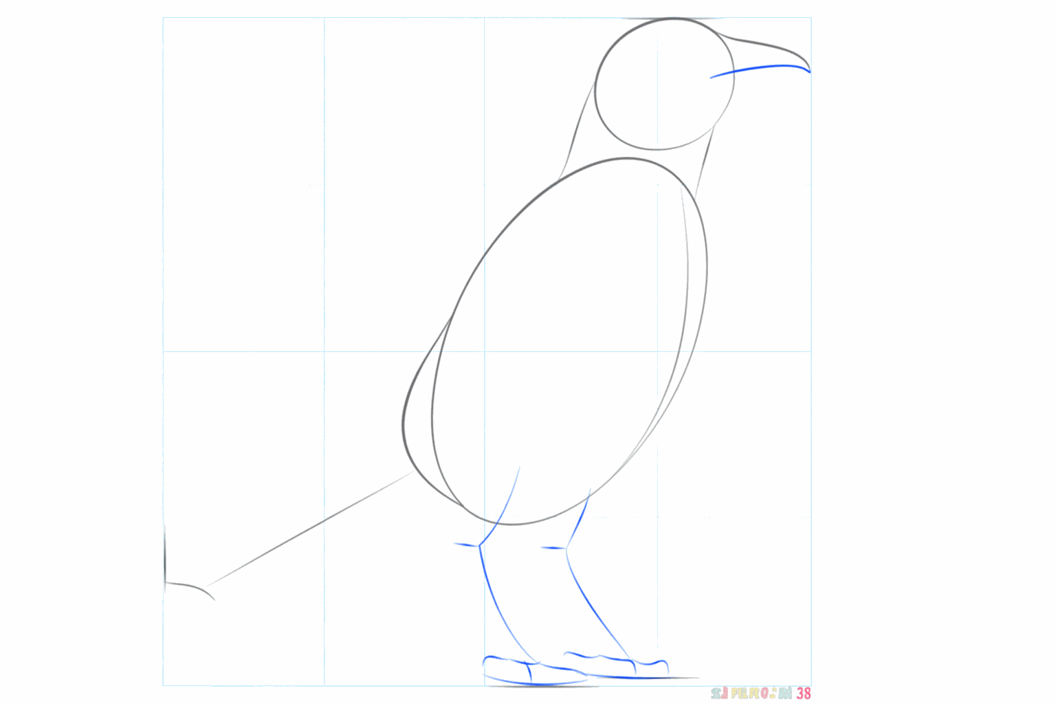 Hulplijnen voor de snavel en de poten van de kraai.