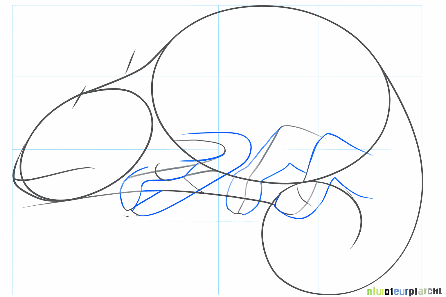 Kleine streepjes voor de positie van de poten en de mond.
