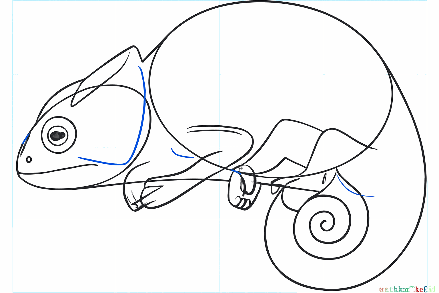 Een rond oog en kleine voetjes op de tak.