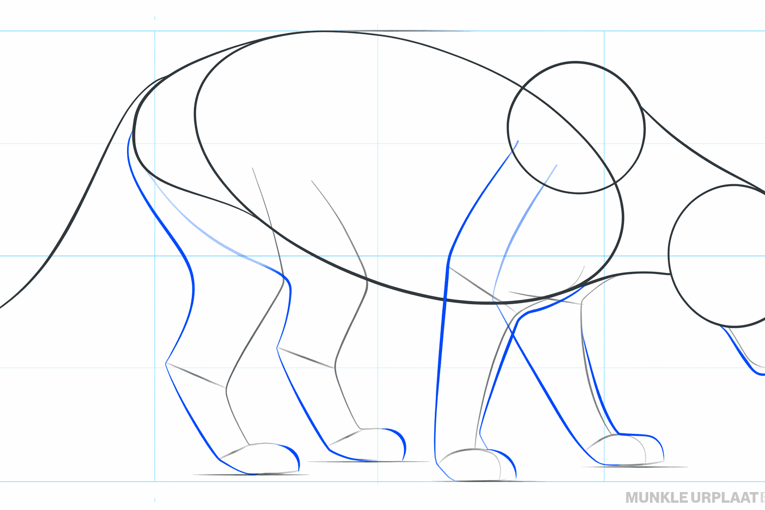 Vorm van de snuit toevoegen aan de cirkel van de kop.