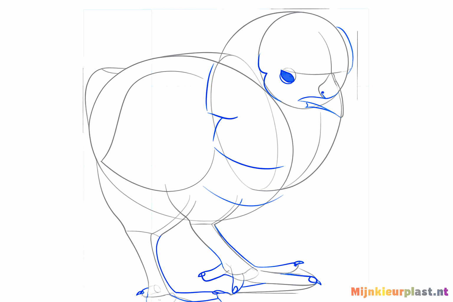 Details zoals de staartveren en de opening van de snavel.