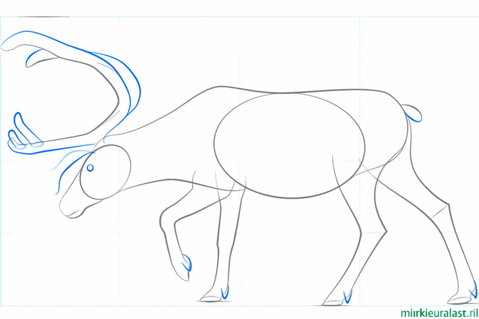 Details van de hoeven en een pluizig staartje.