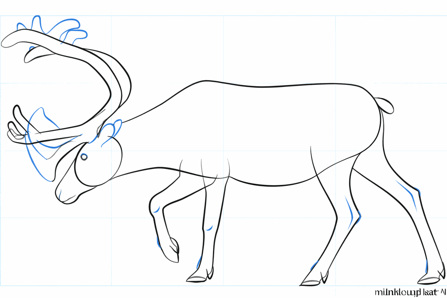 Het oog van het rendier en zijtakjes aan het gewei.