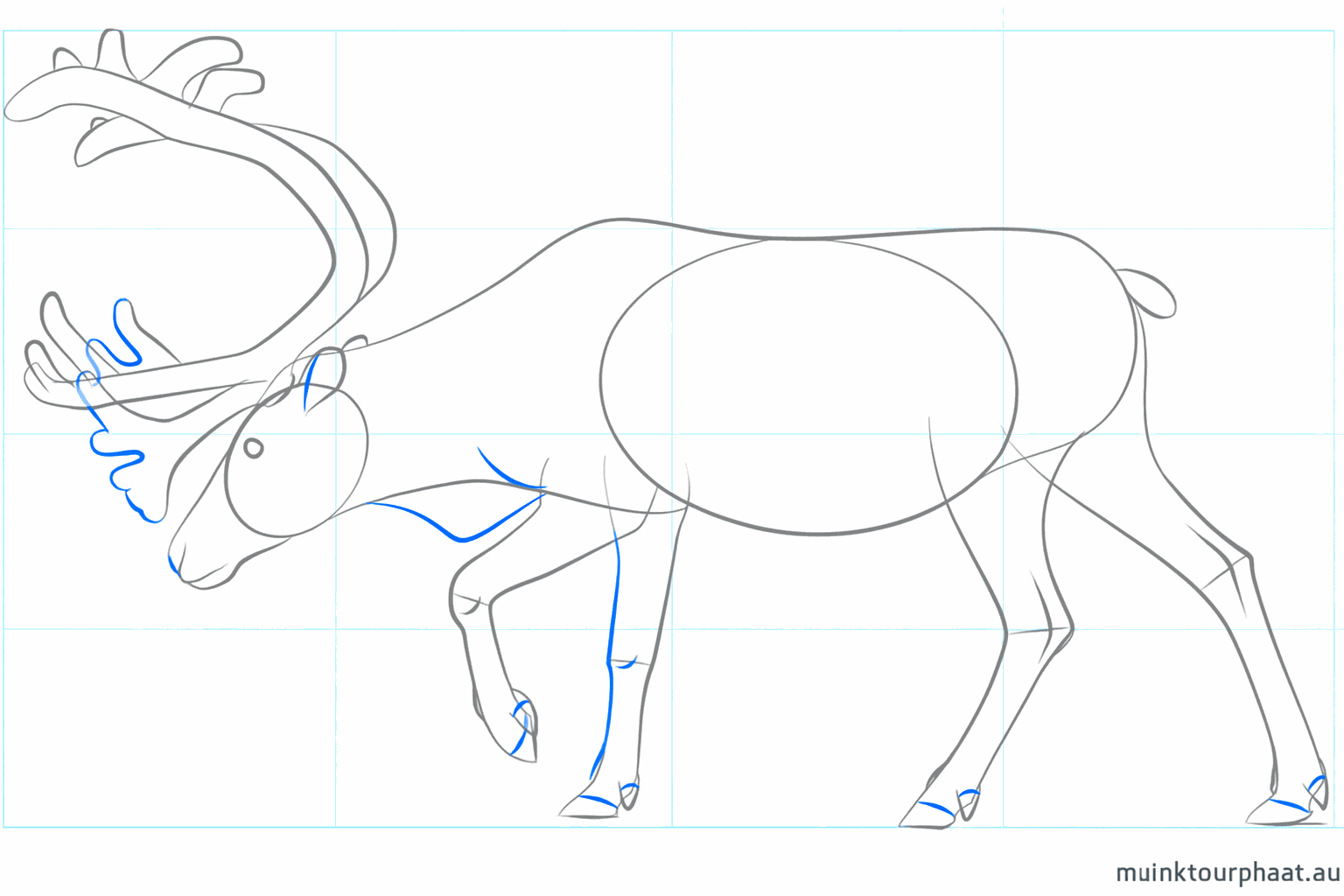 Oren en een ronde neus toevoegen aan de kop.