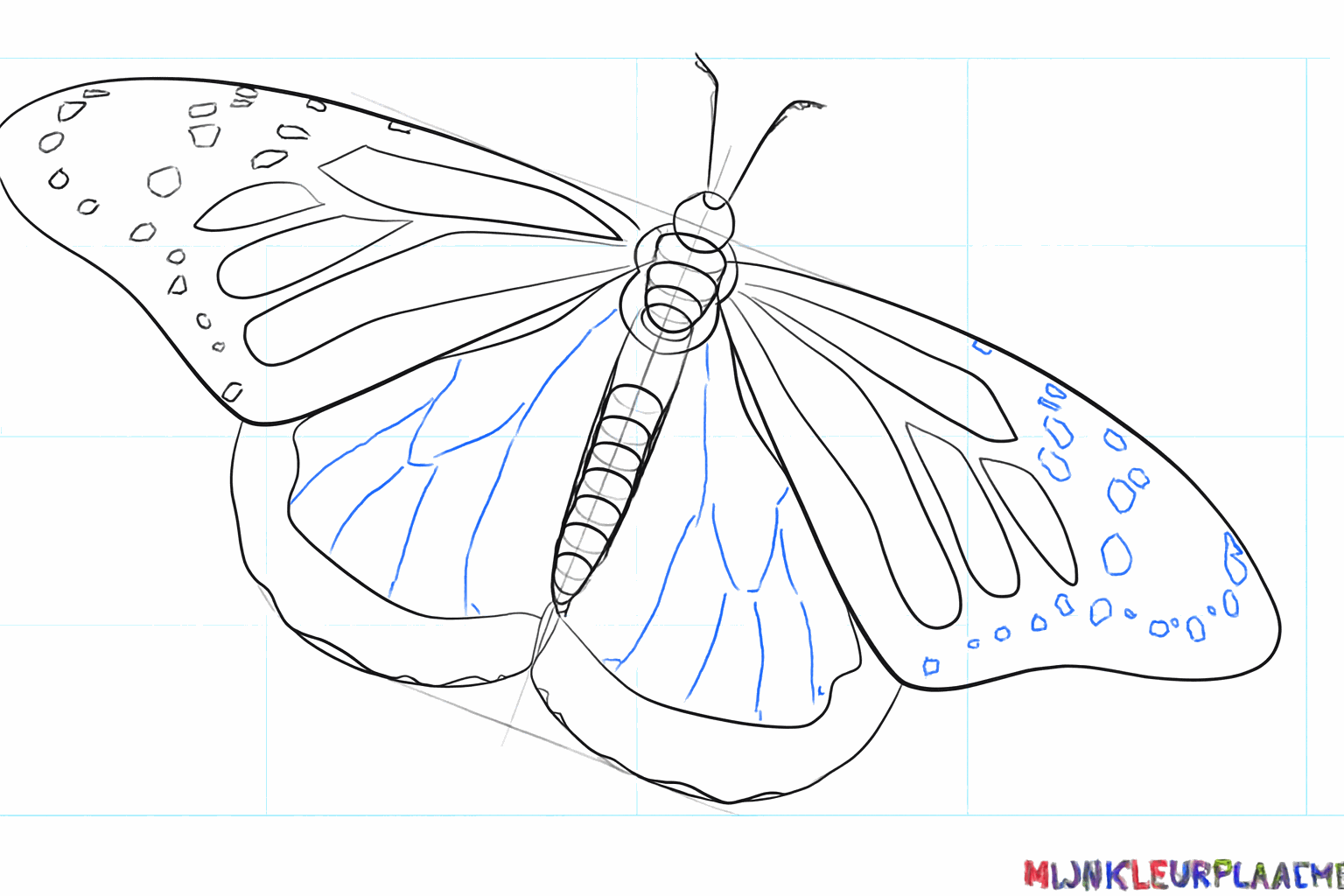 Patronen van lijnen die de vakjes in de vleugels van de vlinder verdelen.