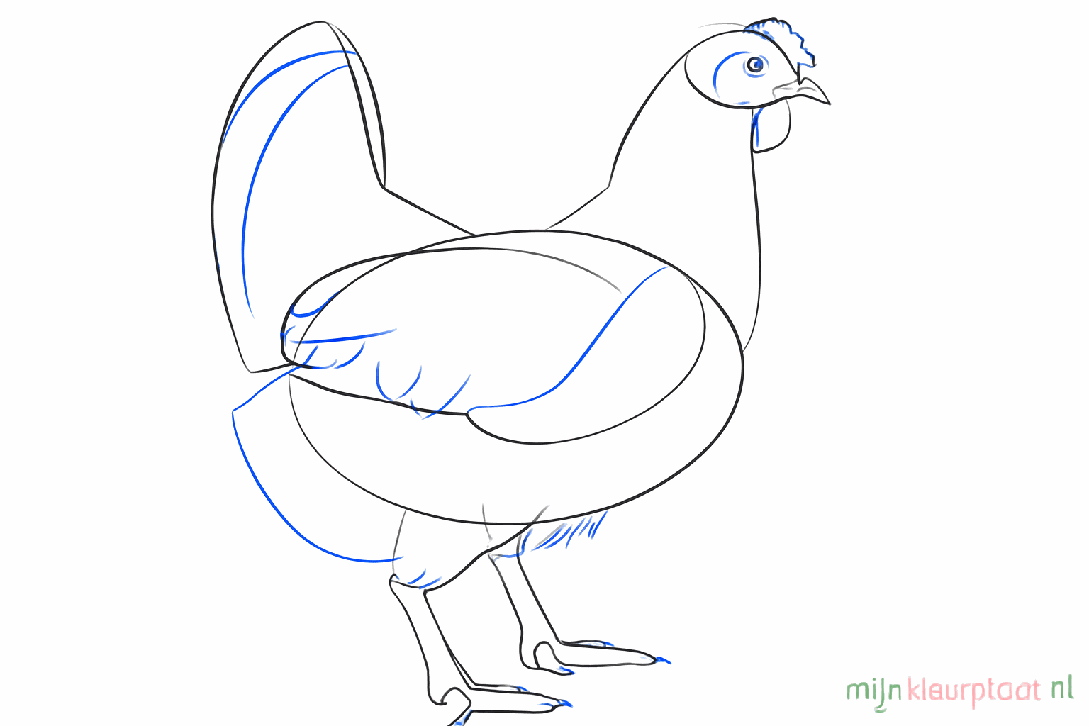 Kip met een oog, een kam op de kop en drie tenen aan elke poot.