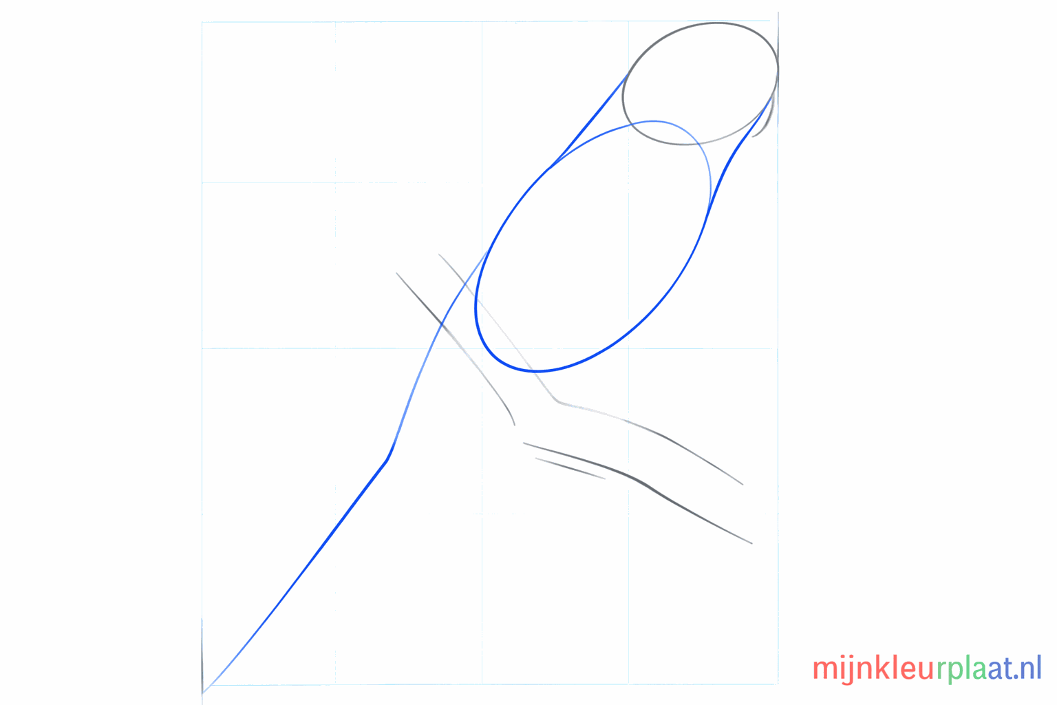 Een grote ovaal als lichaam en een lange hulplijn voor de staart van de vogel.