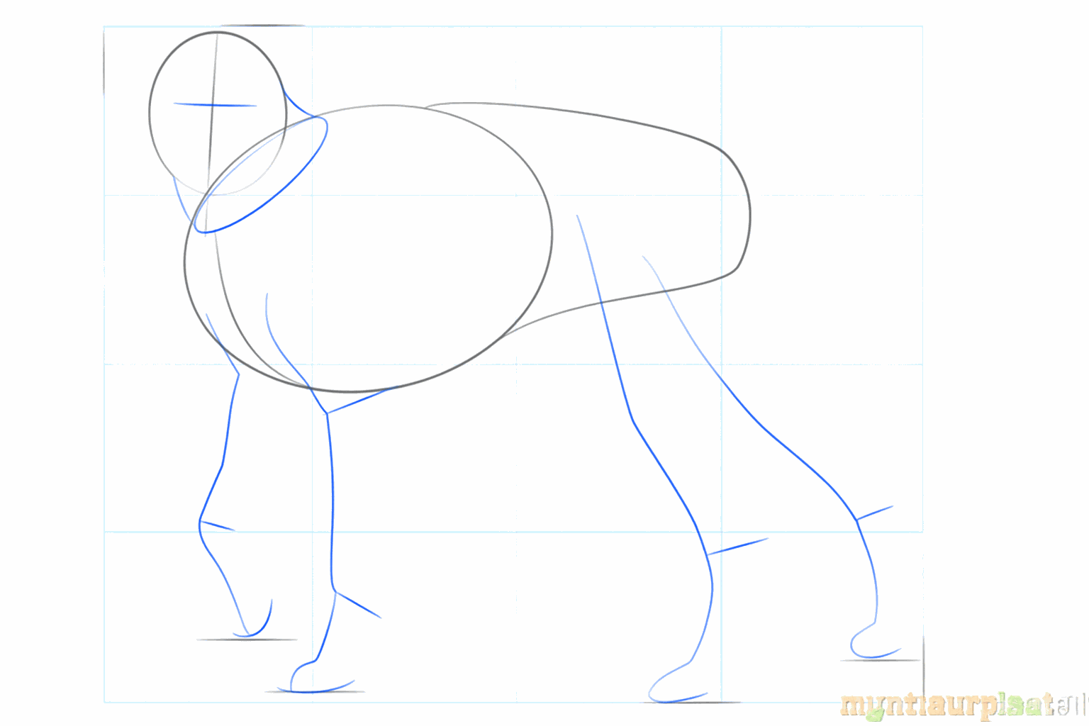 Hulplijnen voor de poten en de nek van de hond met kleine rondjes voor de ogen.