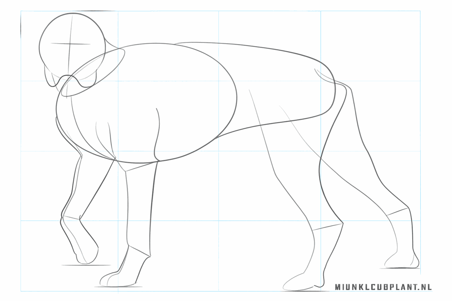 Vormen voor de dikke poten en de kenmerkende snuit van de Boxer hond.